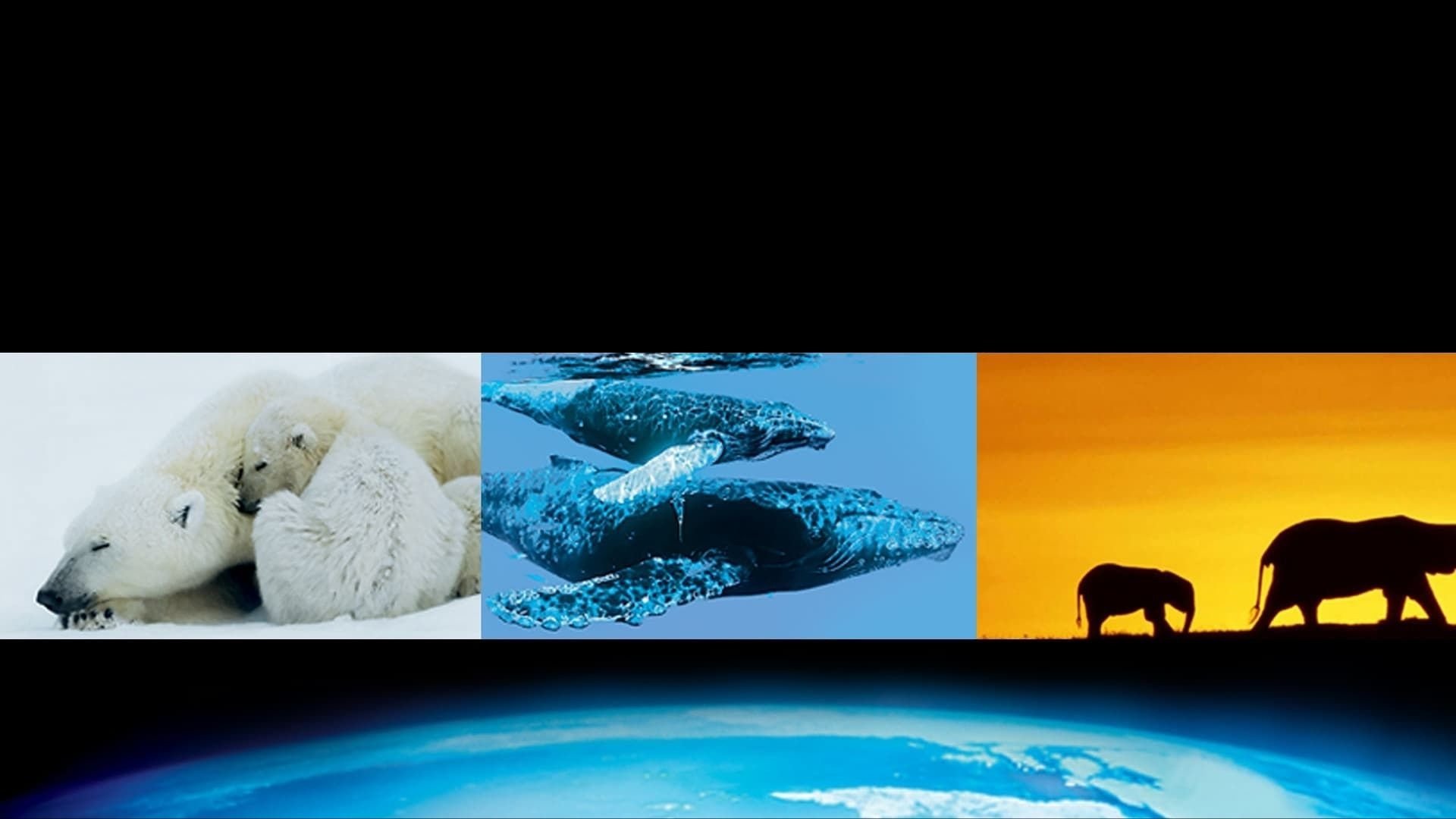 Earth