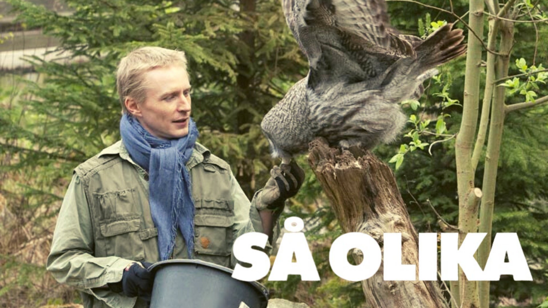Så olika