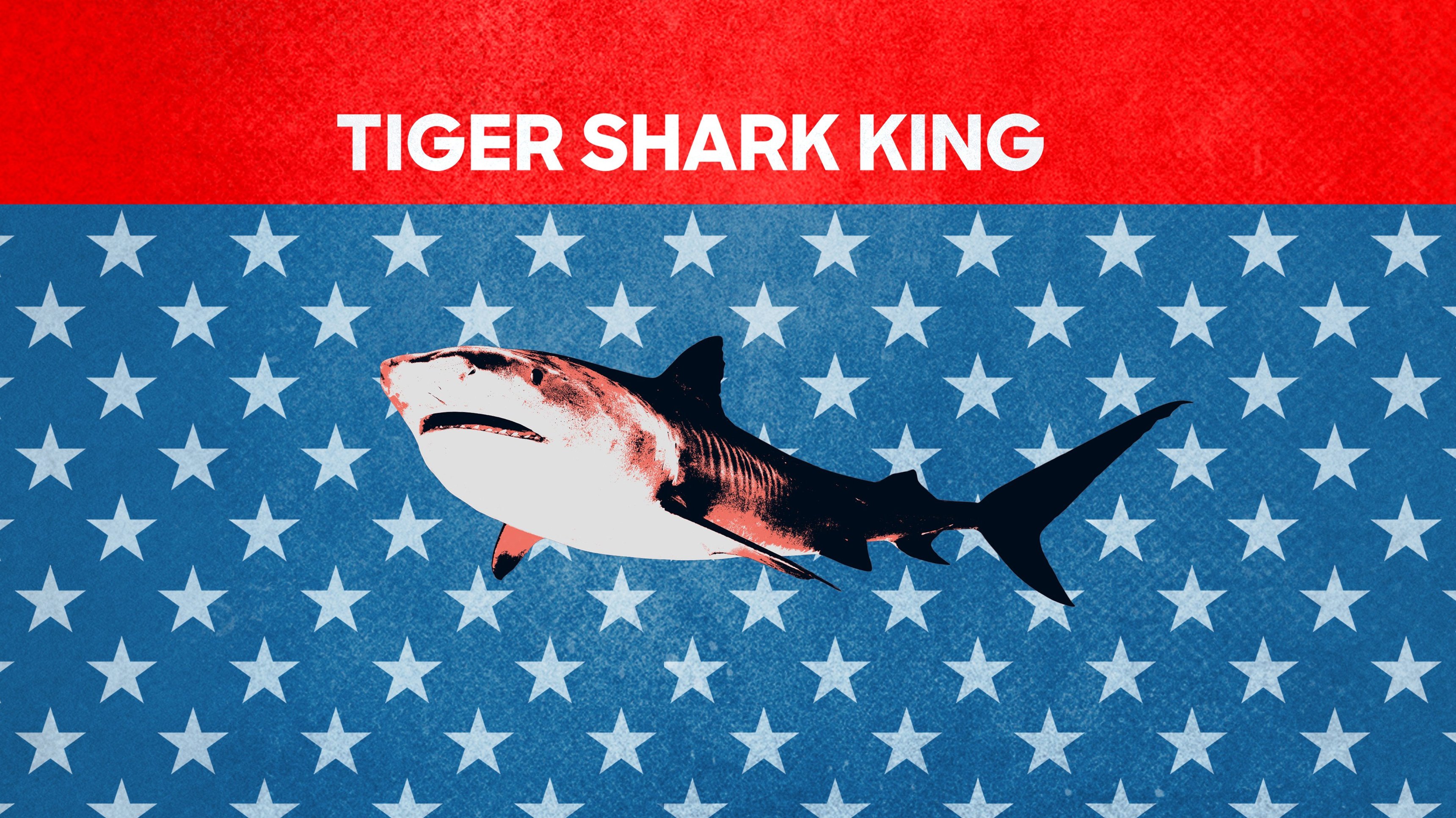1. Tiger Shark King