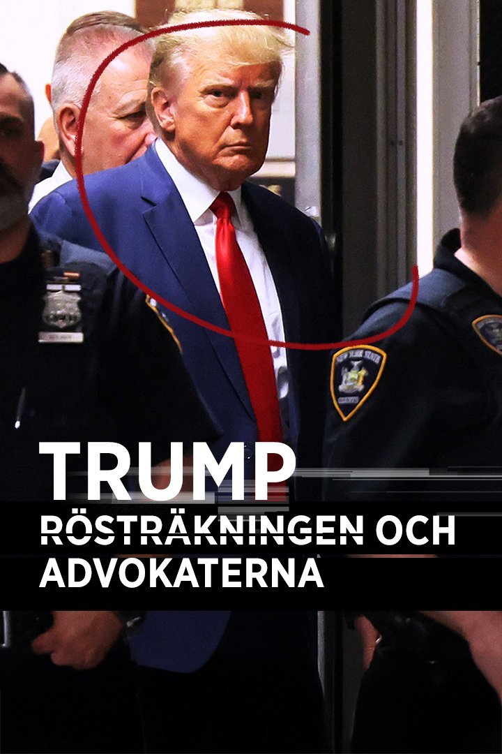 Dokument utifrån: Trump, rösträkningen och advokaterna