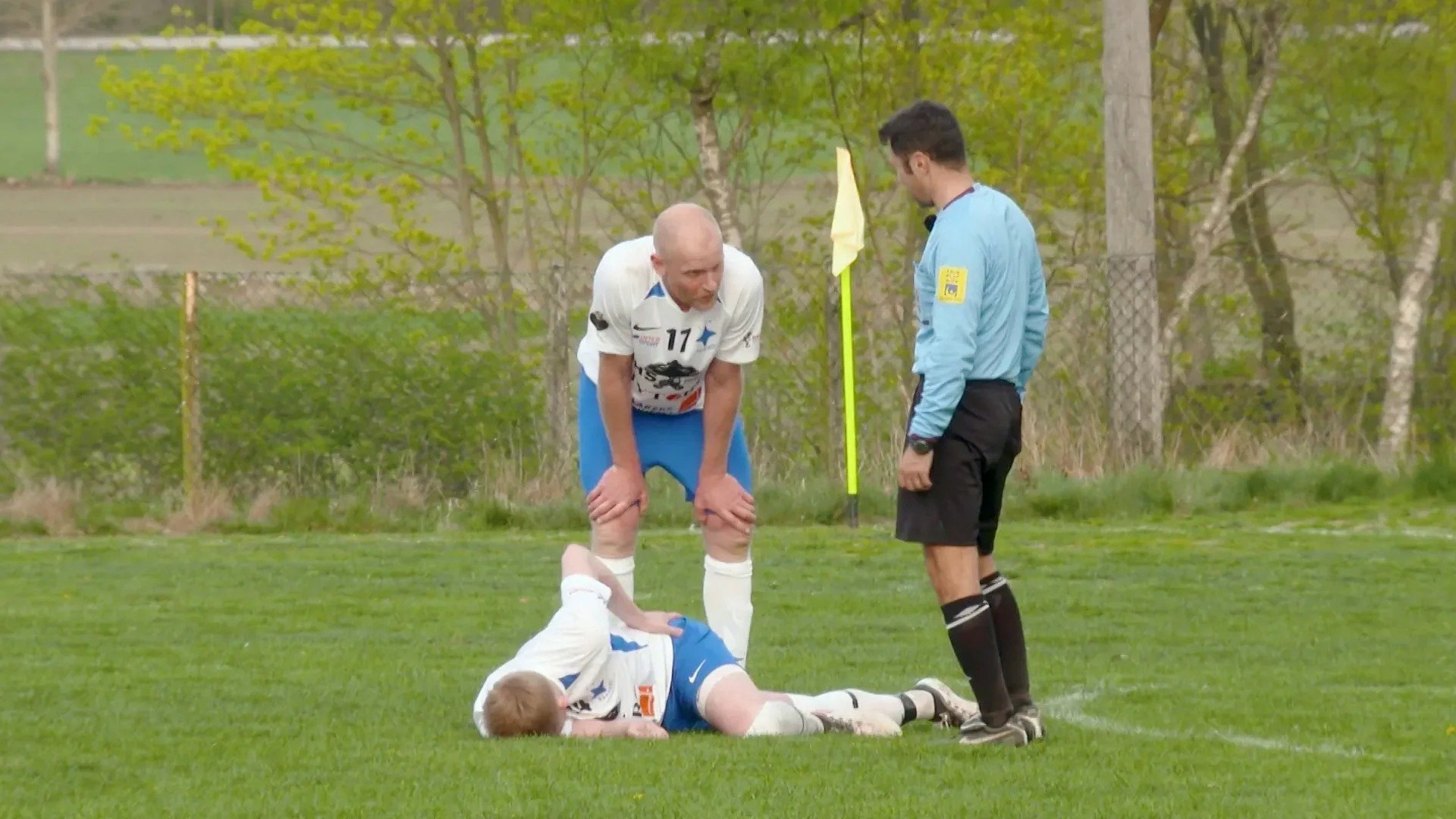 1. Grisfotboll på bondens åker