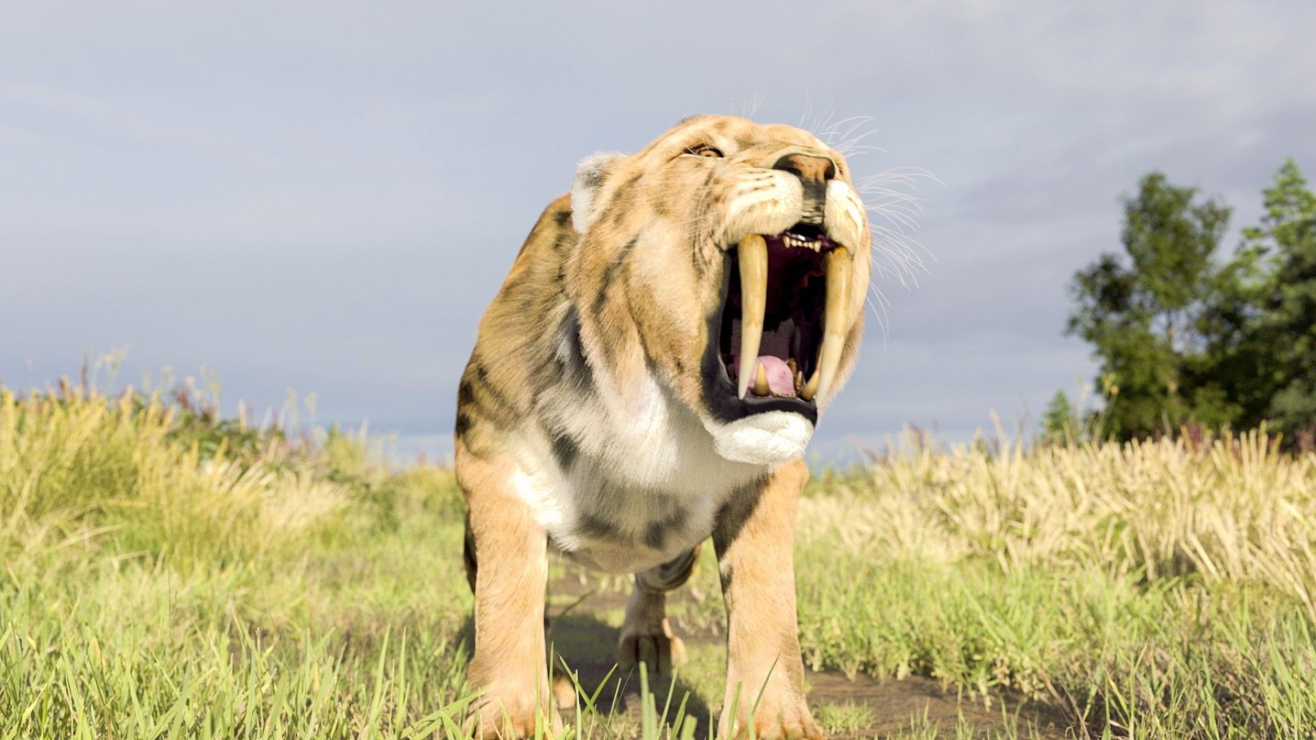 4. Den sabeltandade kattens hemligheter