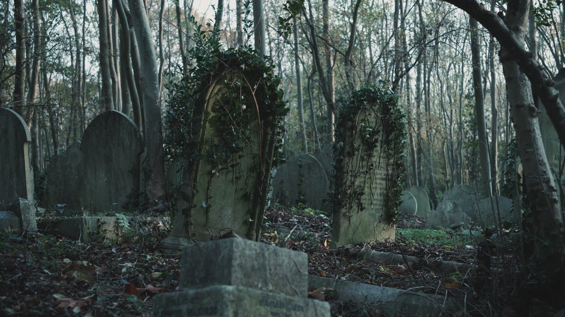 6. Mysterious Urban Legends