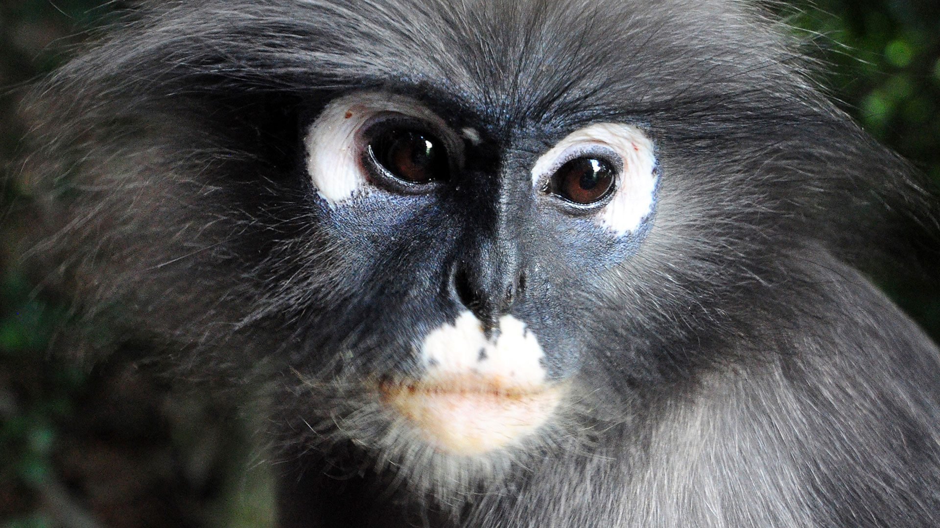 3. Den mystiska norra delen