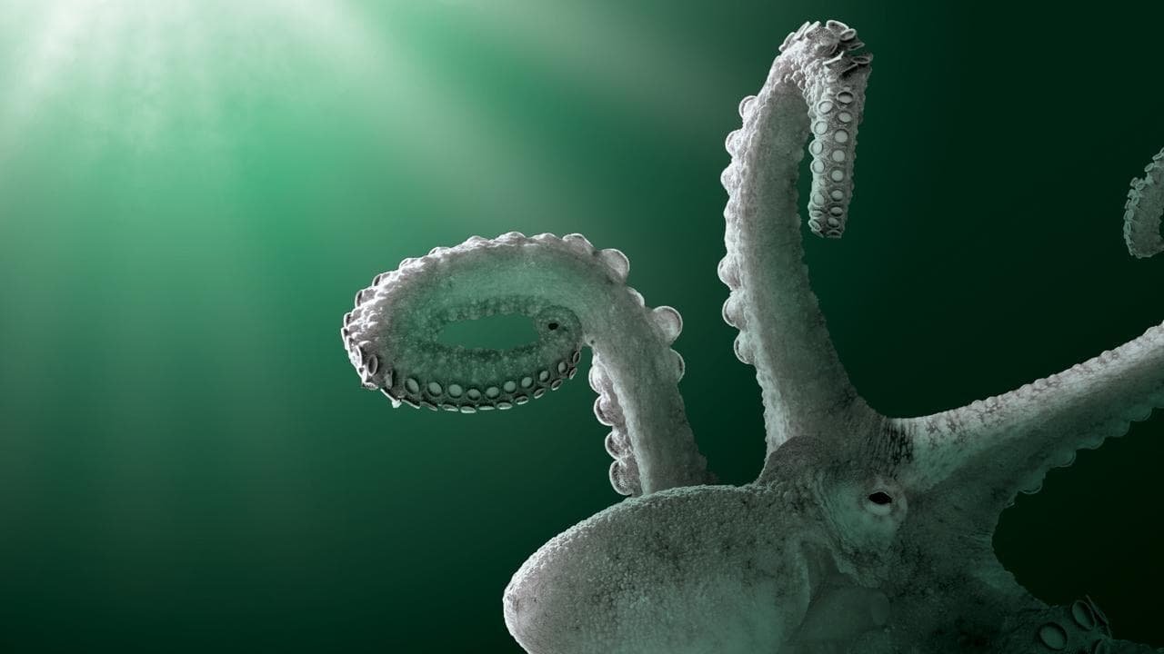 Aliens of the Deep