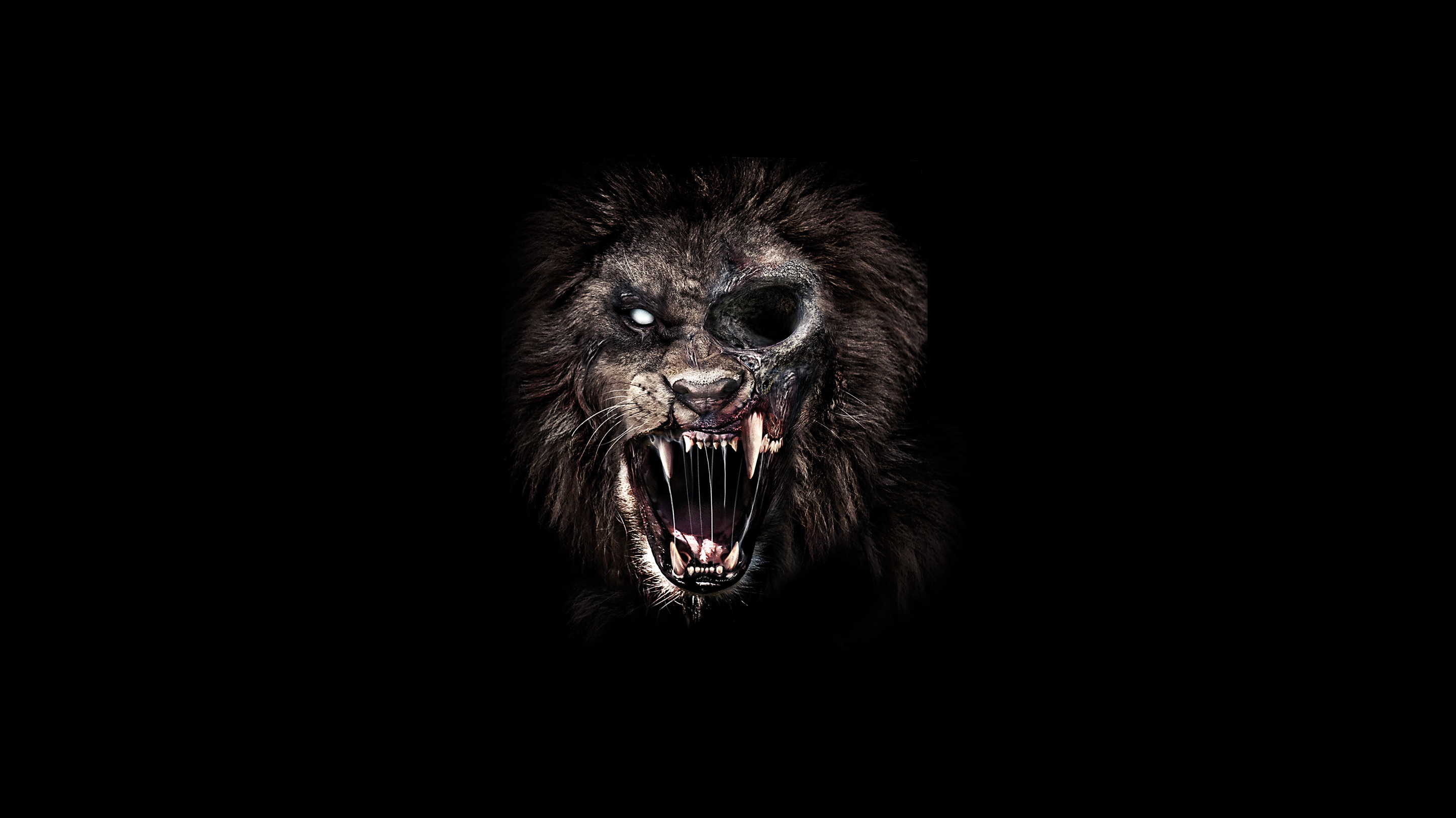 Zoombies