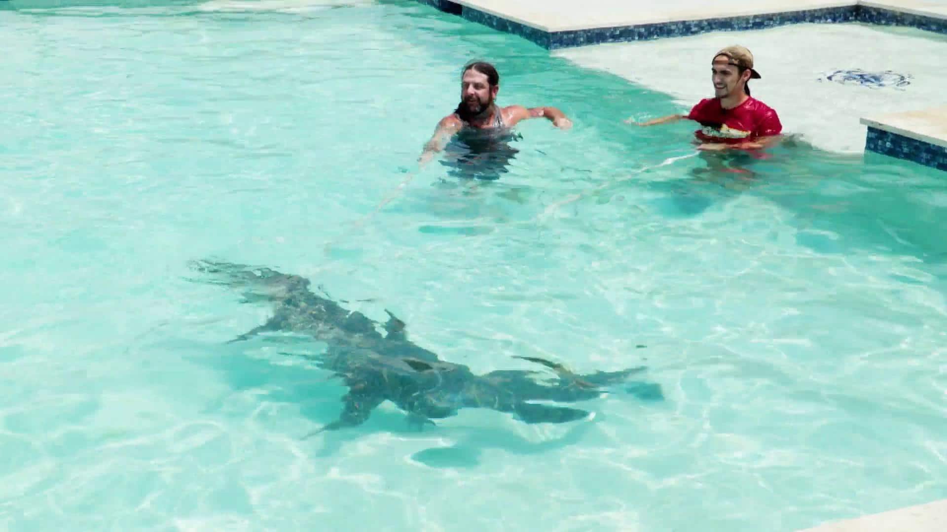 2. Water Hazards