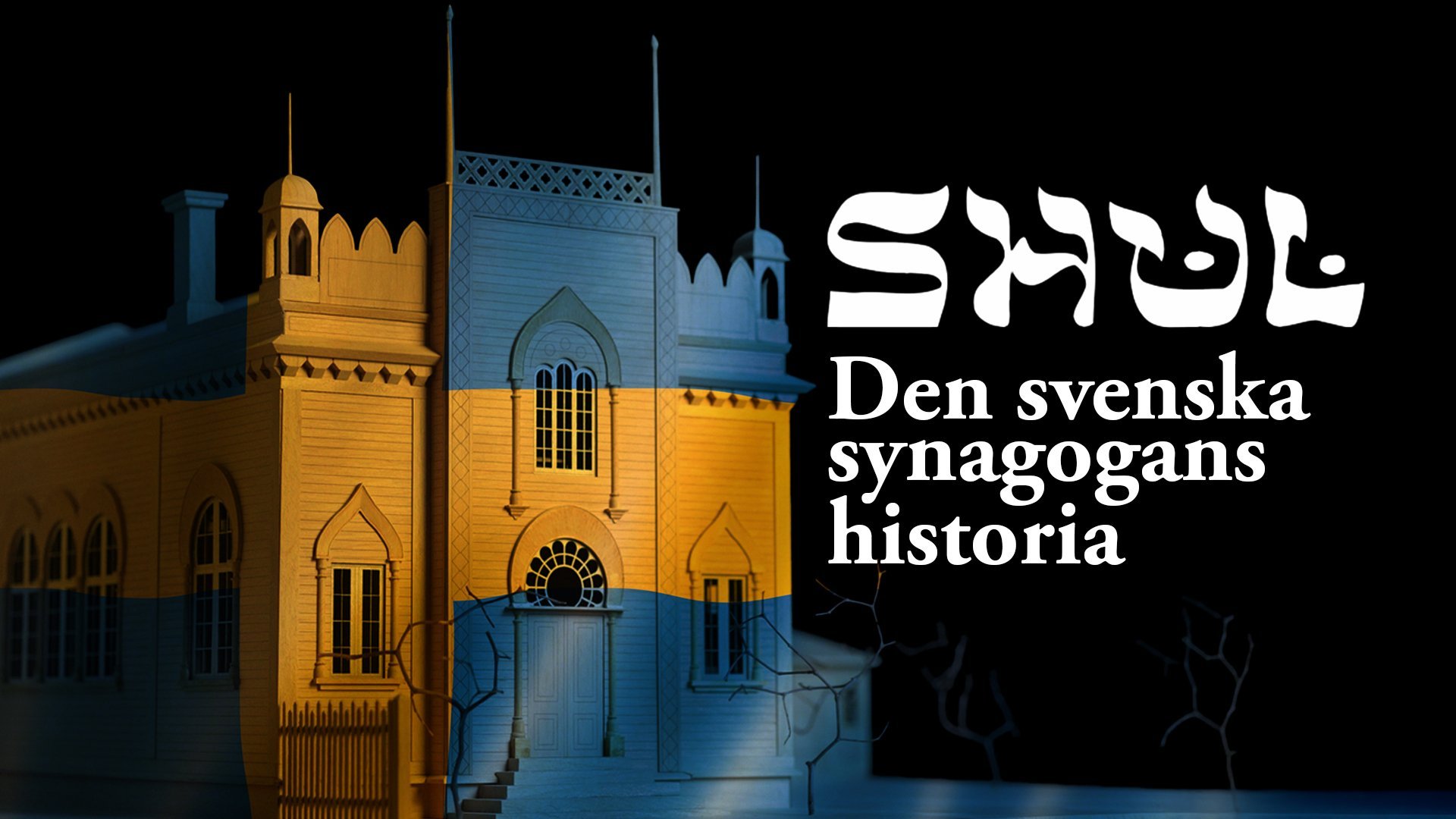 Shul - den svenska synagogans historia (jiddisch)