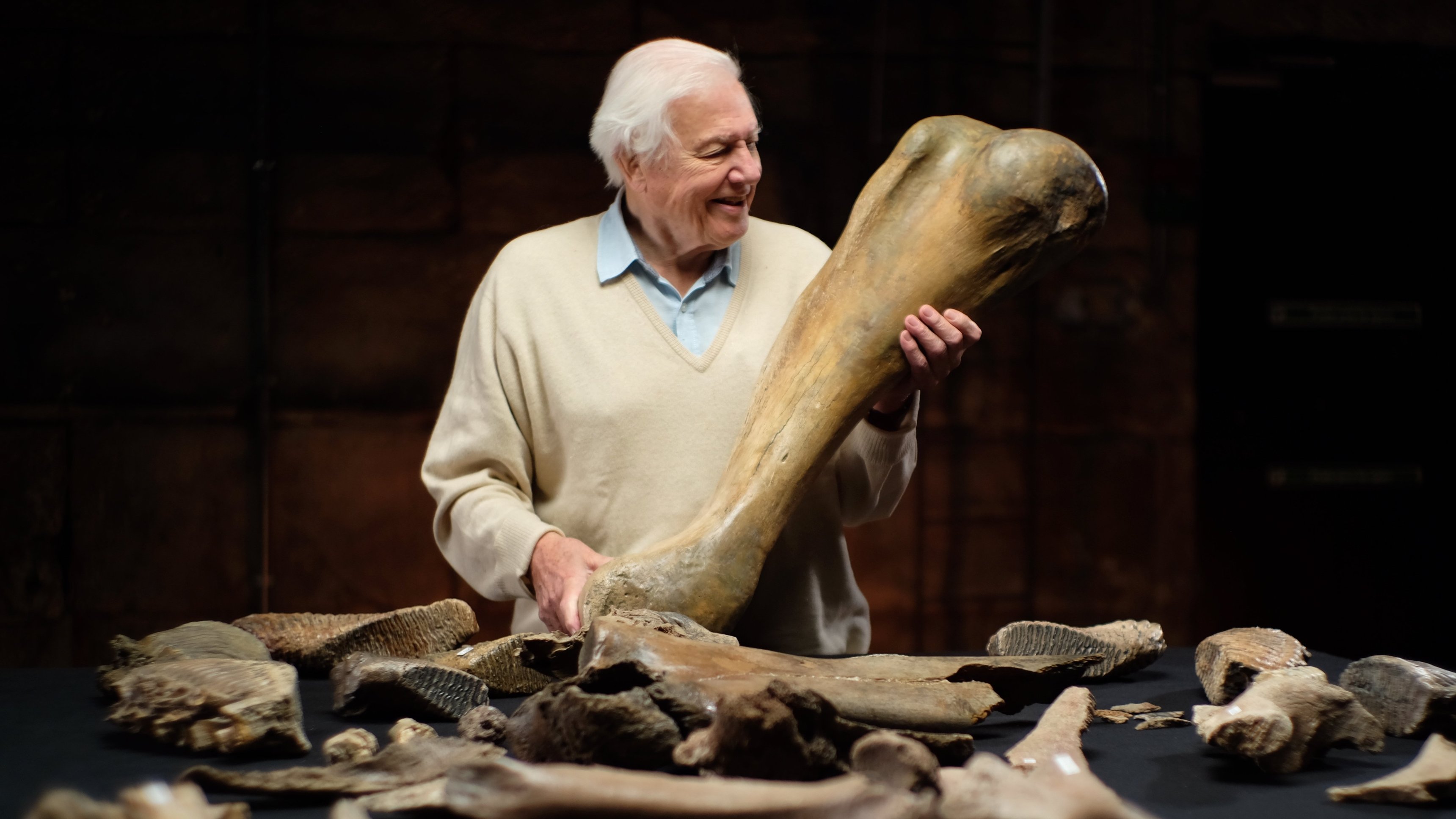 Attenborough och mammutkyrkogården