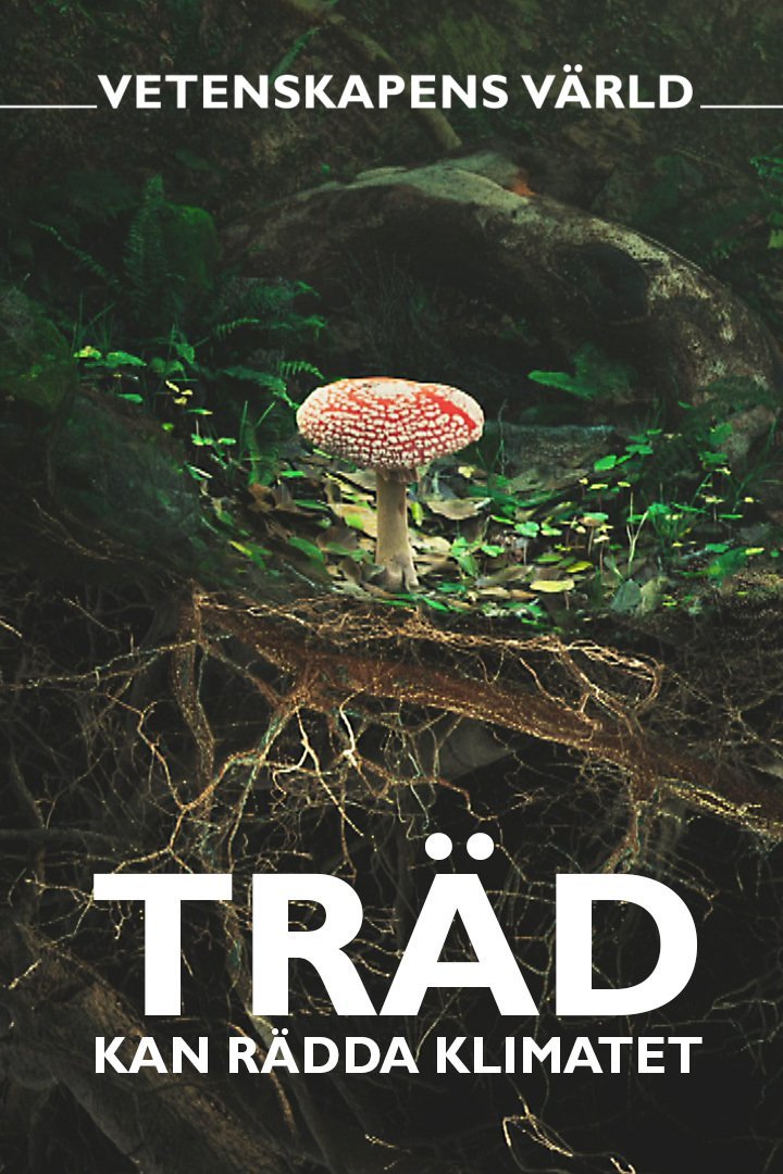 Träd kan rädda klimatet