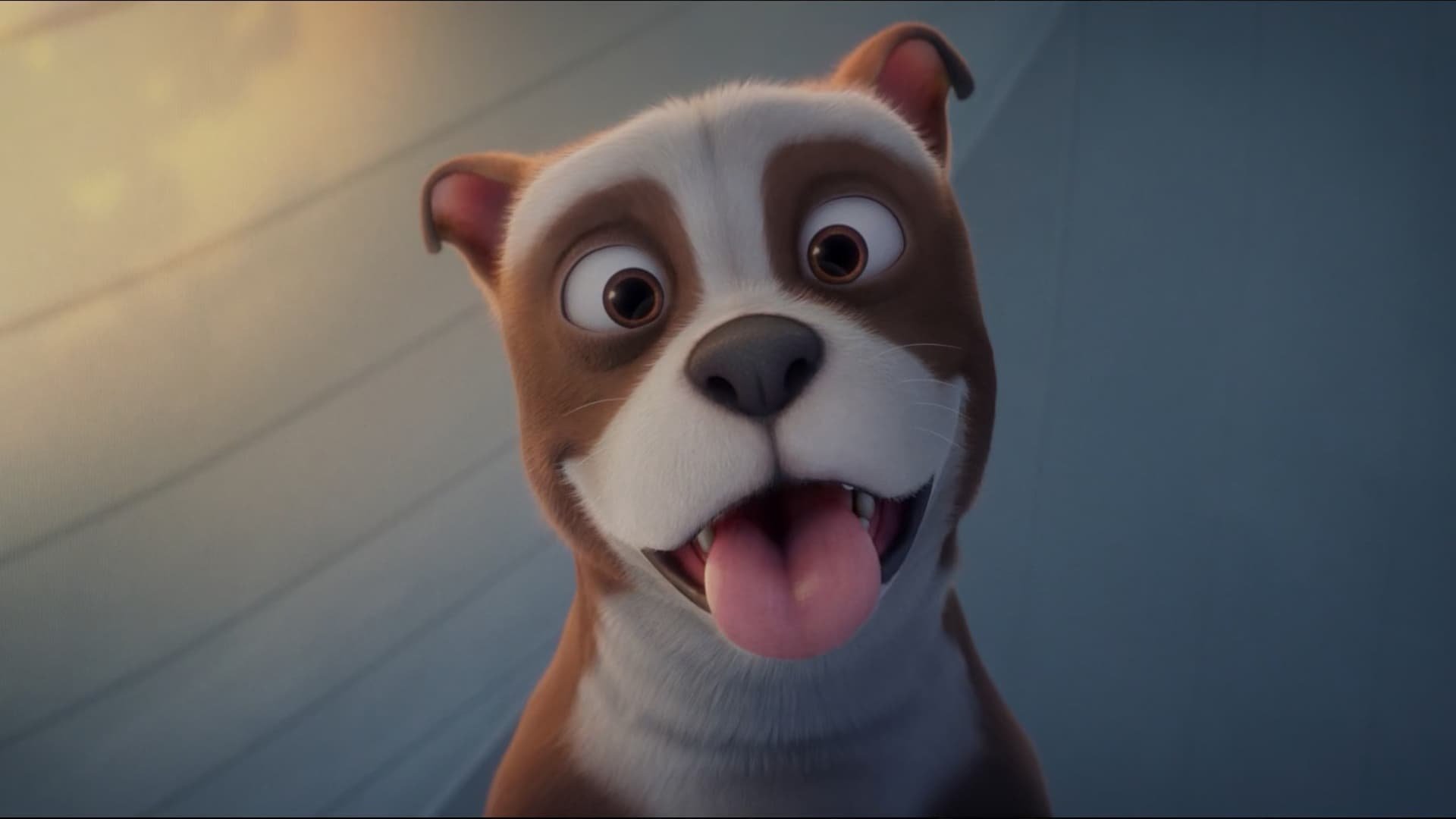 Sergeant Stubby: en osannolik hjälte