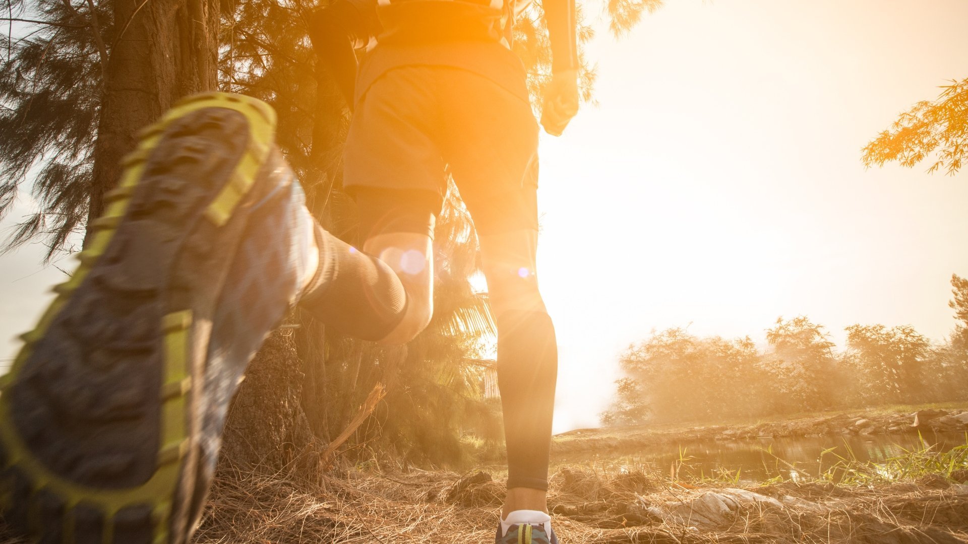 Trail World Series