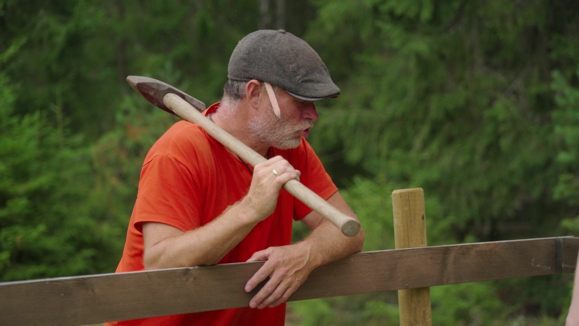 29. Episode 29