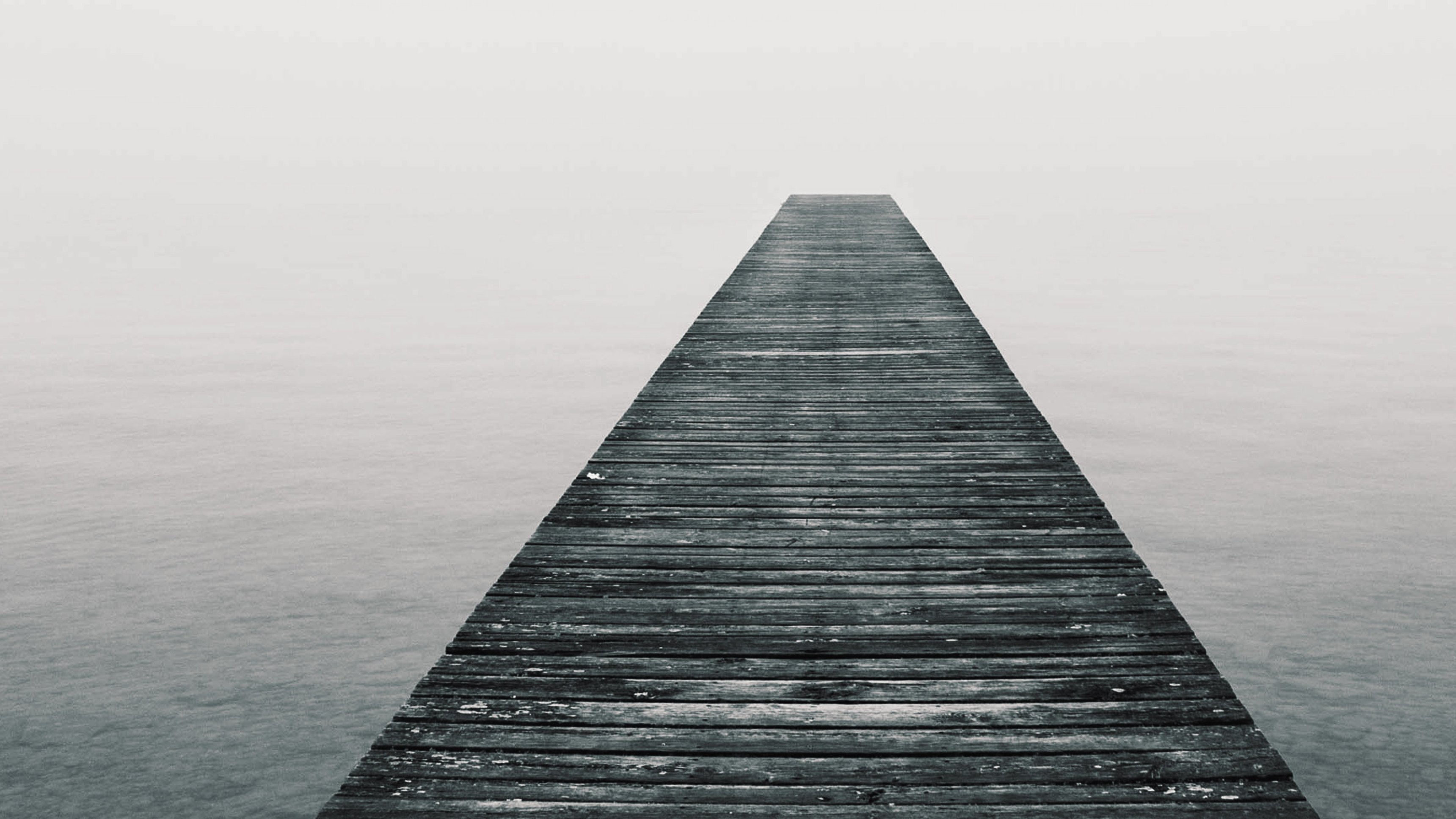 The Lake Erie Murders