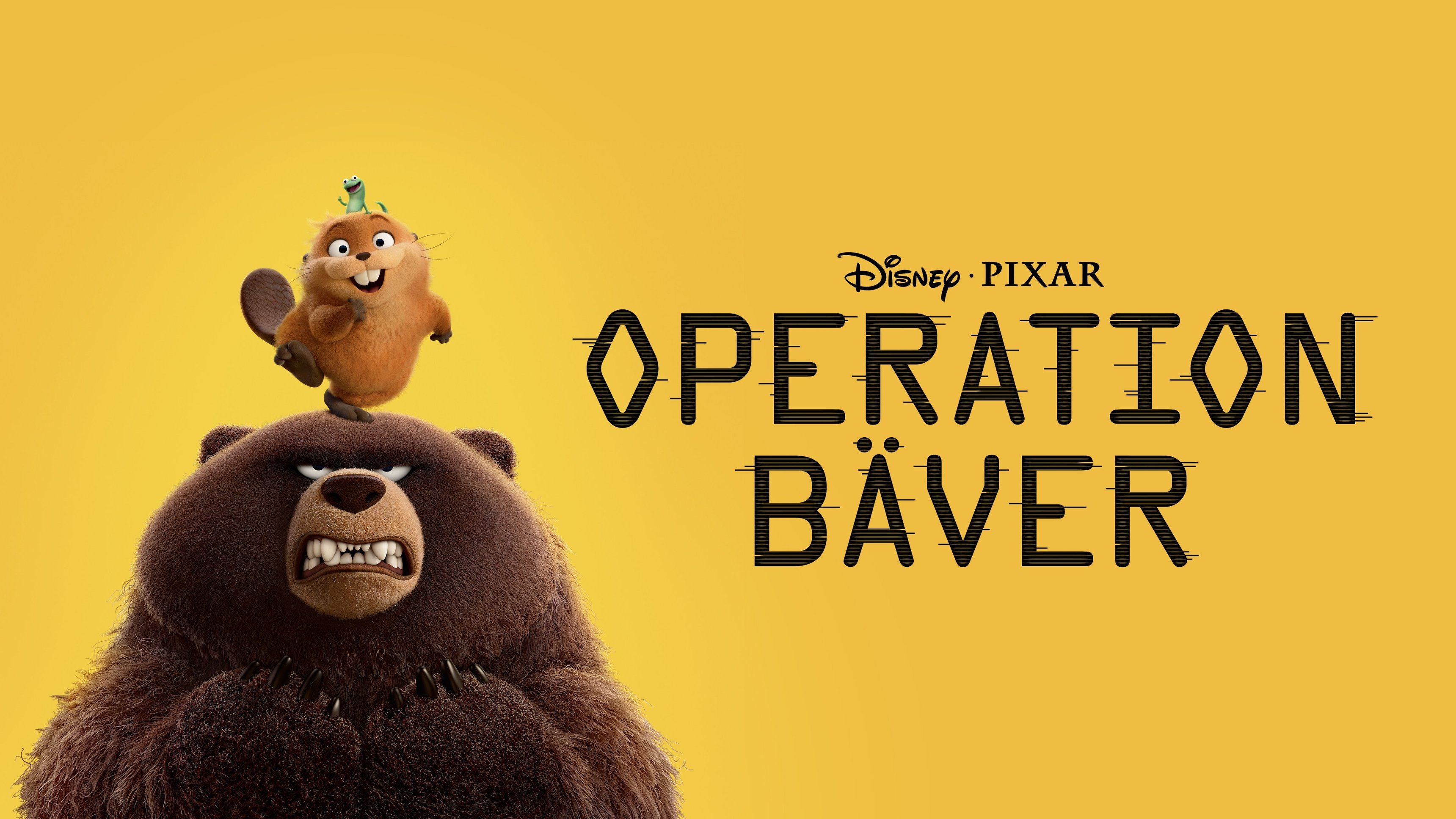 Operation Bäver