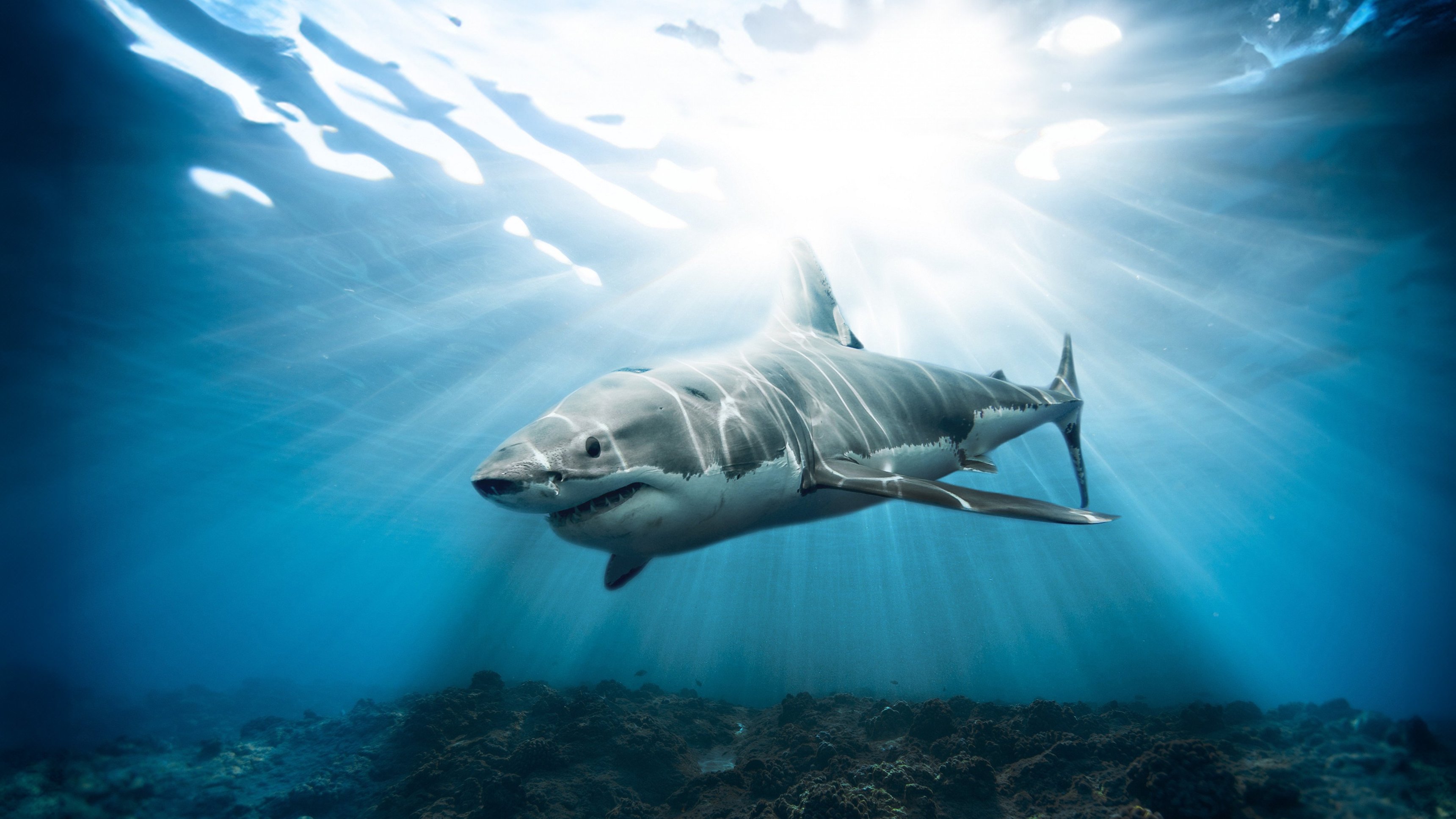 Jaws of the Deep