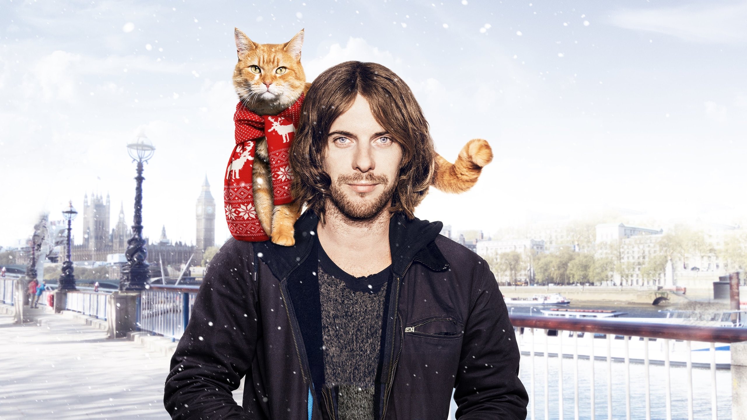 A Street Cat named Bob