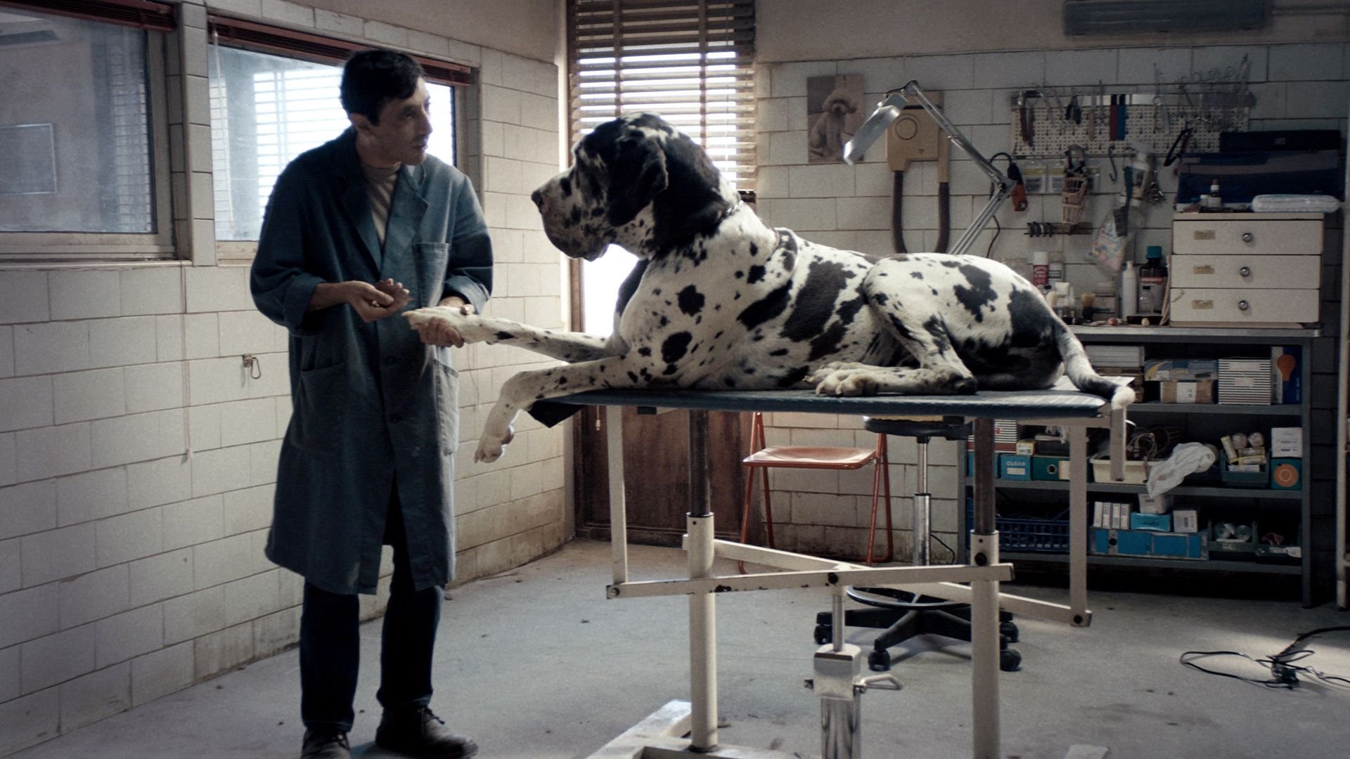 Dogman