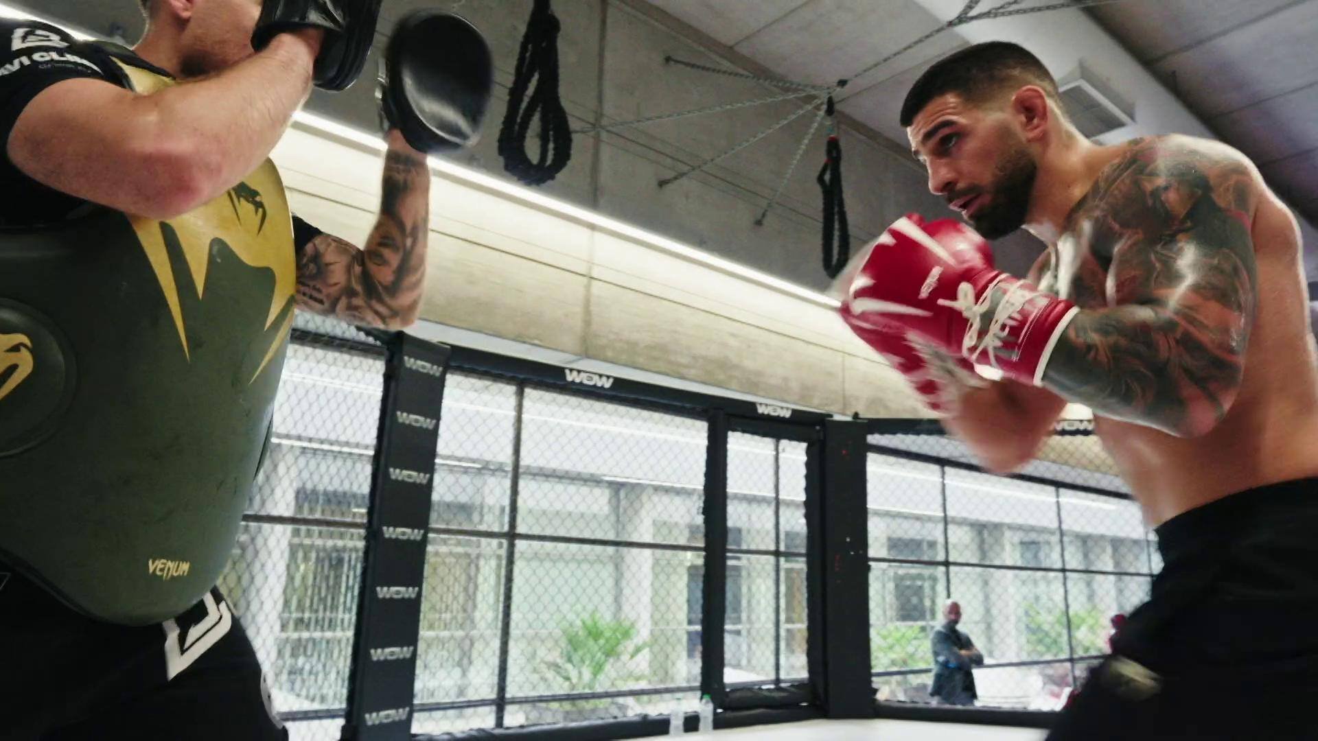 125. UFC Countdown 317