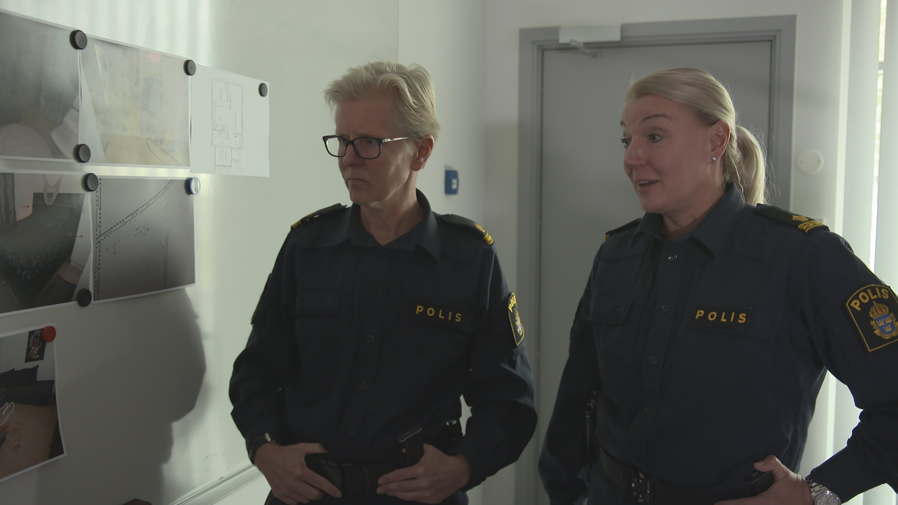 5. Dagböckerna fällde stalkermördaren