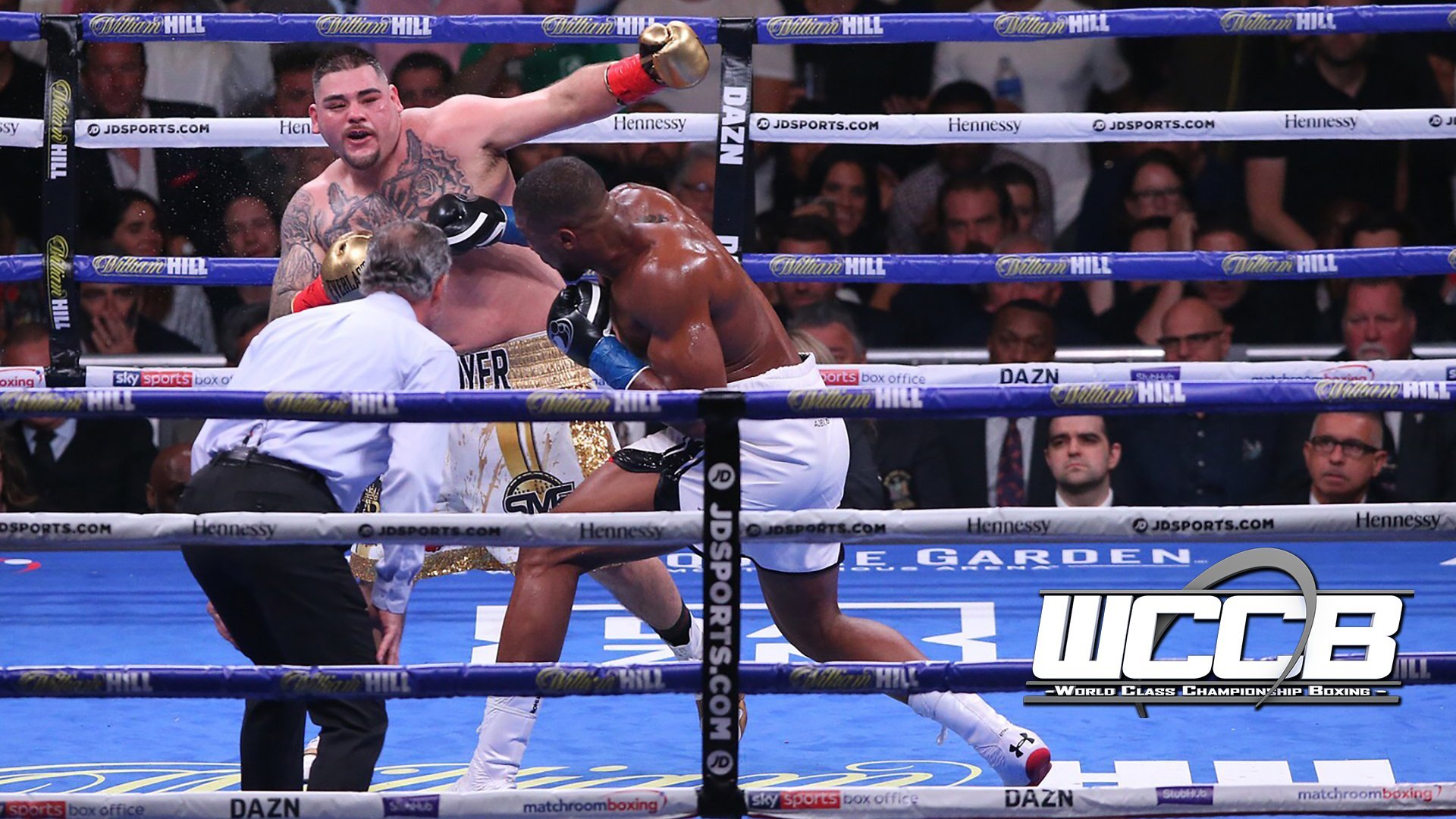 WCCB | Mikaela Mayer vs. Silvia Bortot