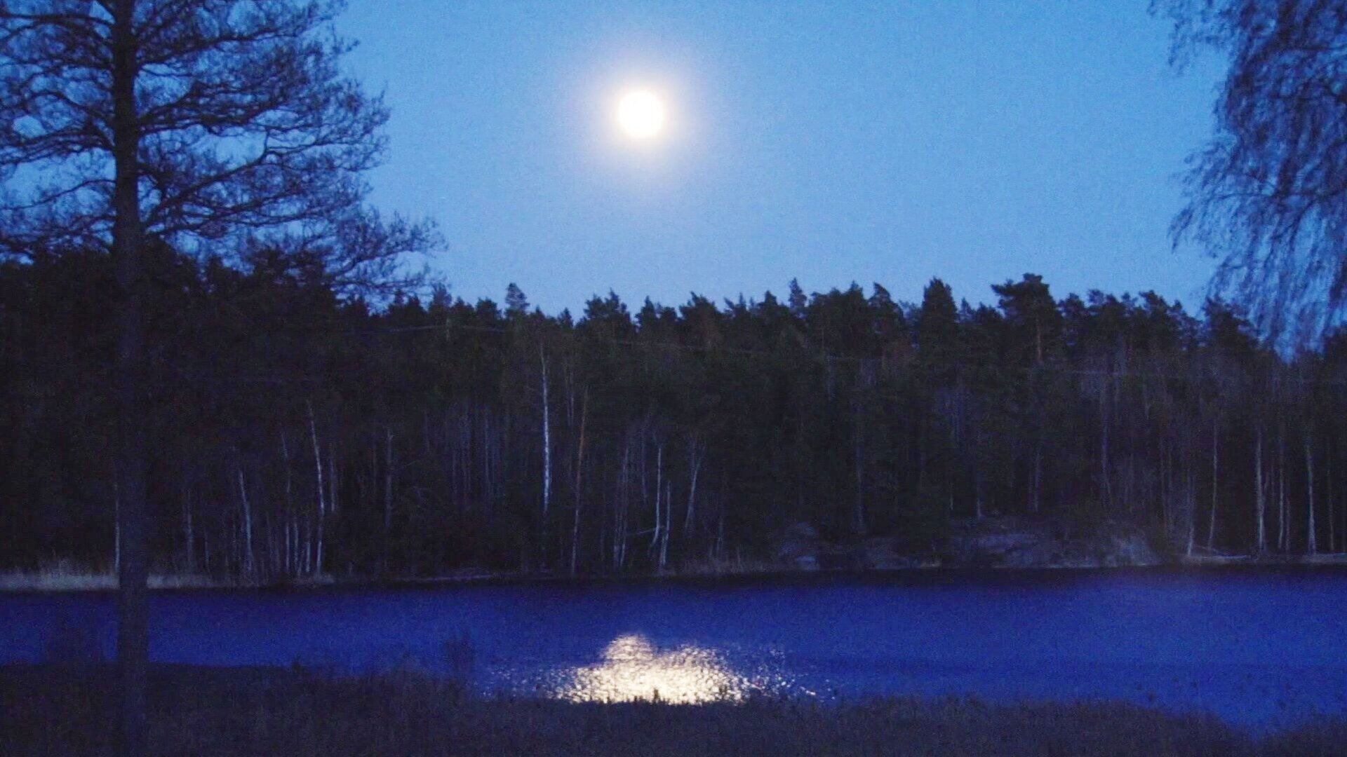 29. Fullmåne