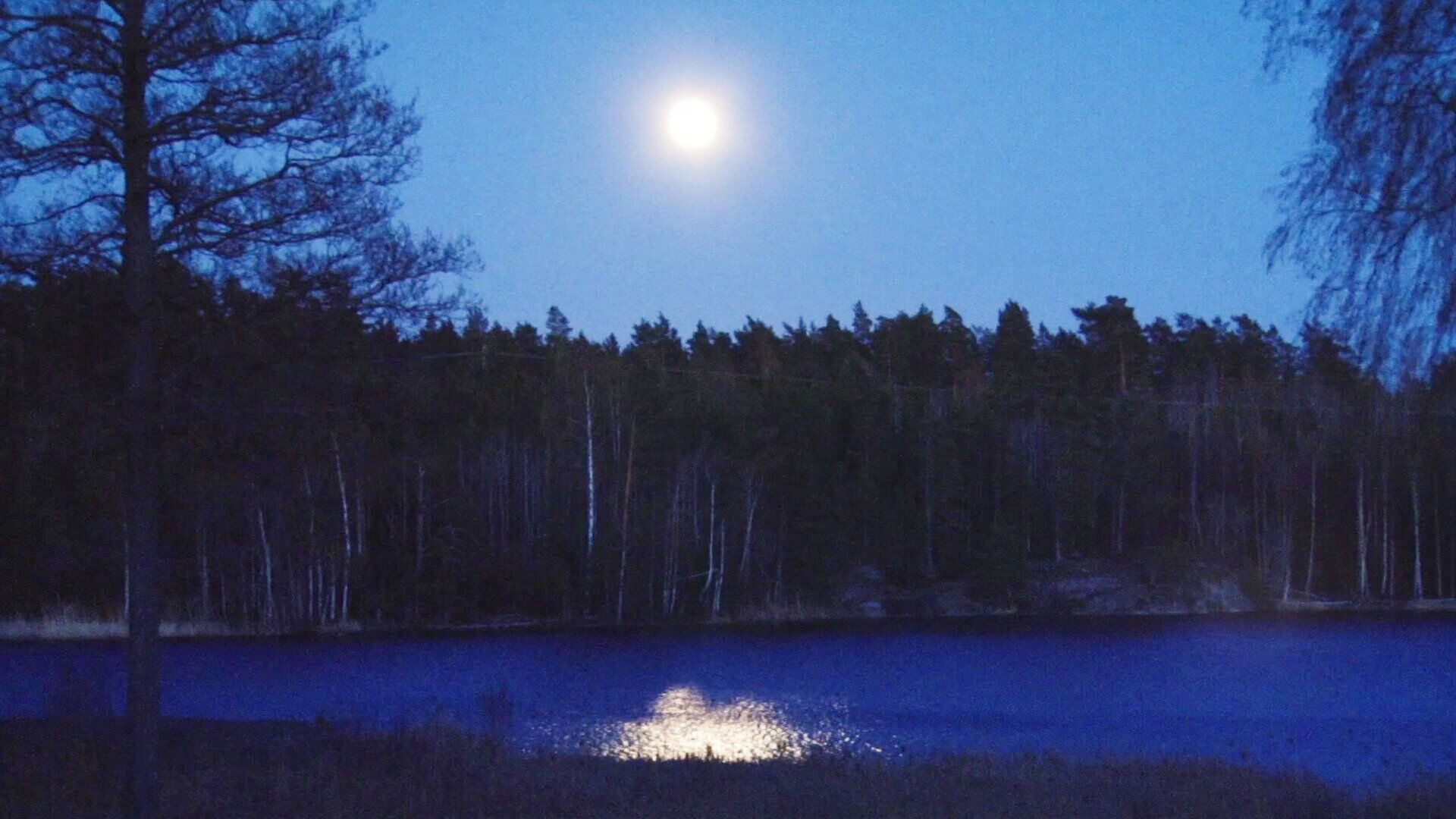 29. Fullmåne