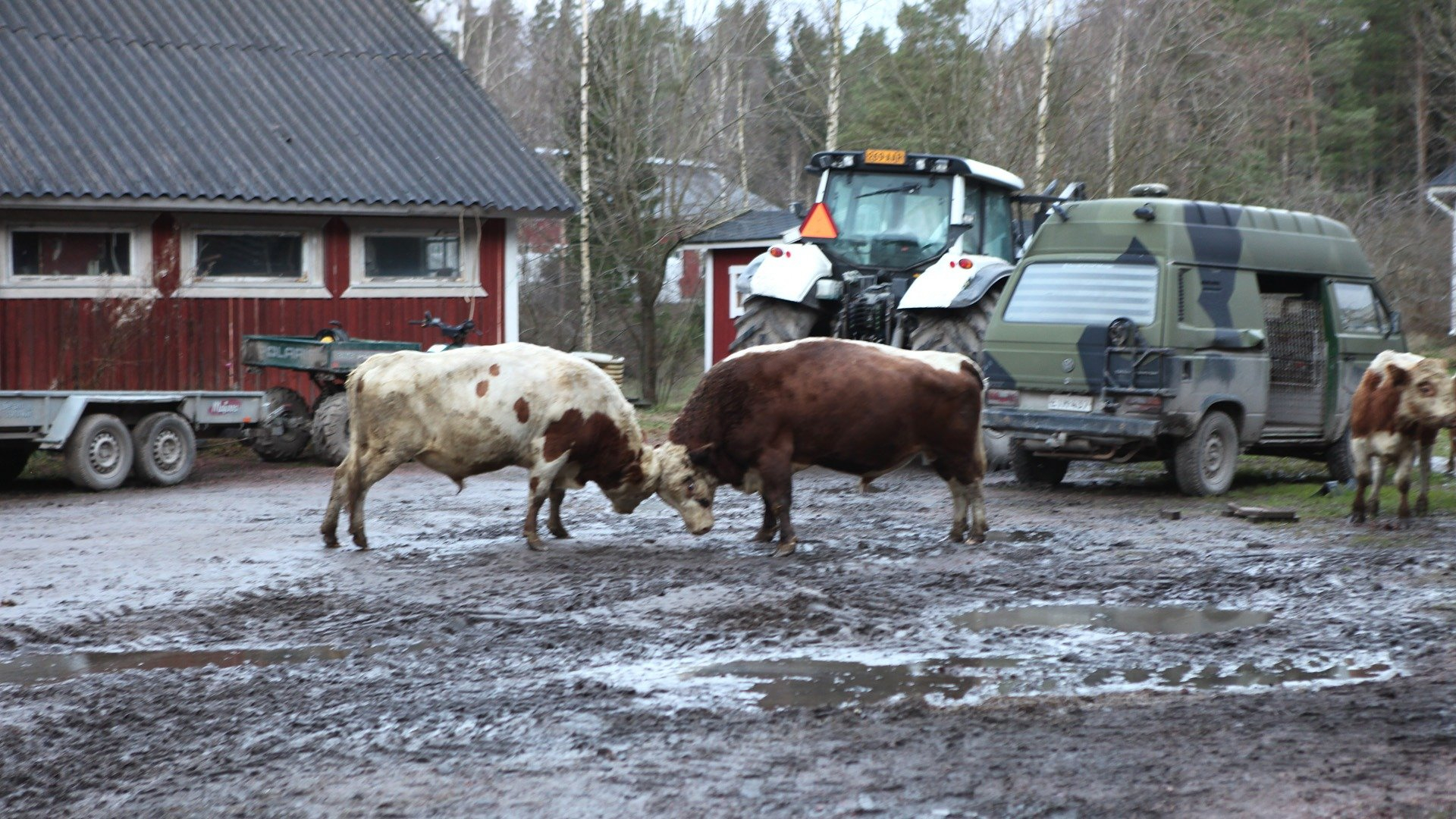 6. Helsinki