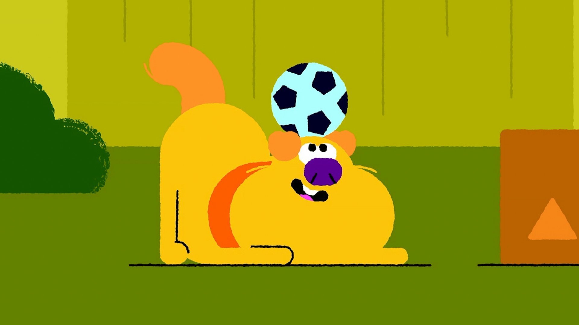 16. Fotboll