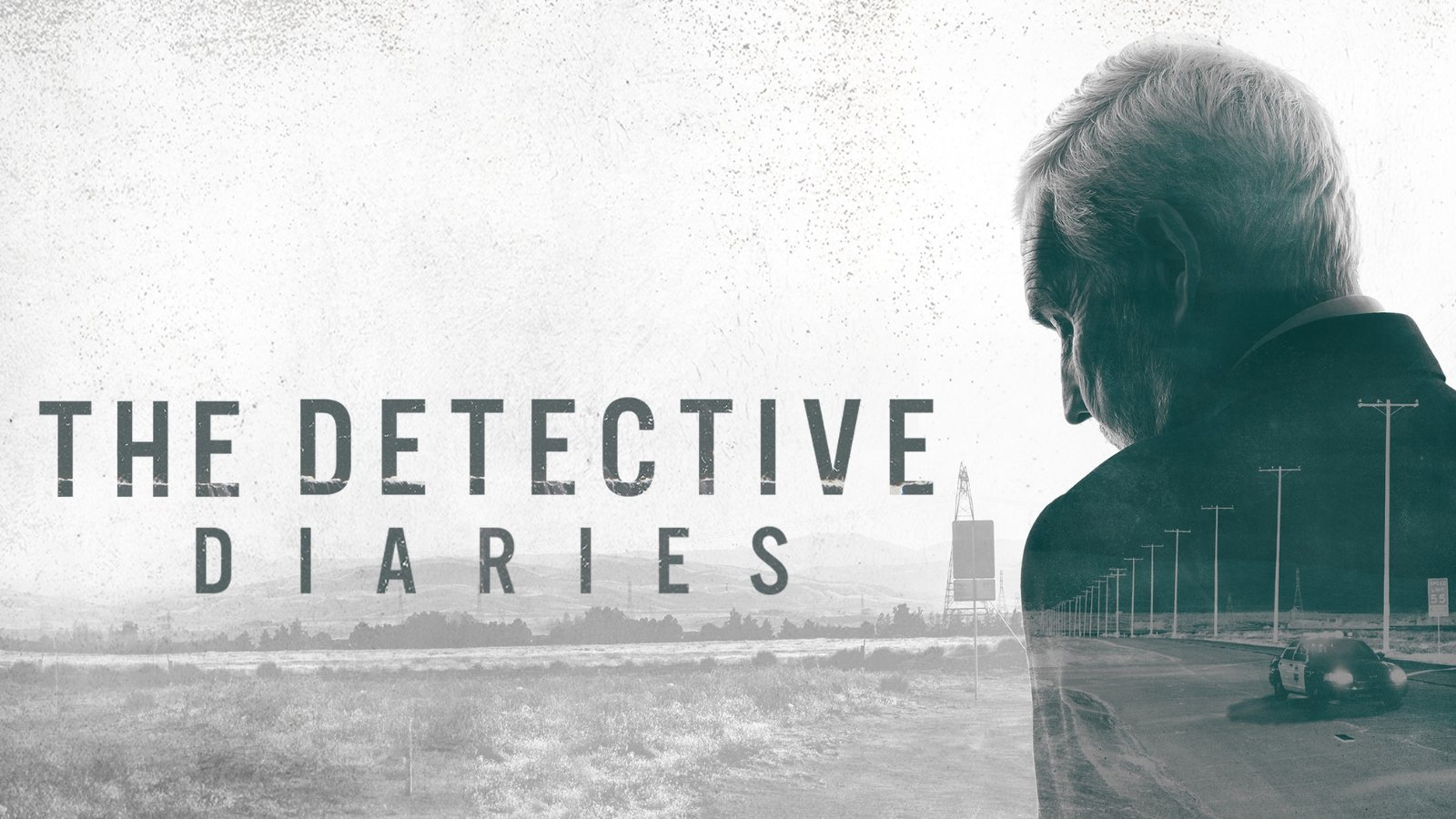 Detective Diaries