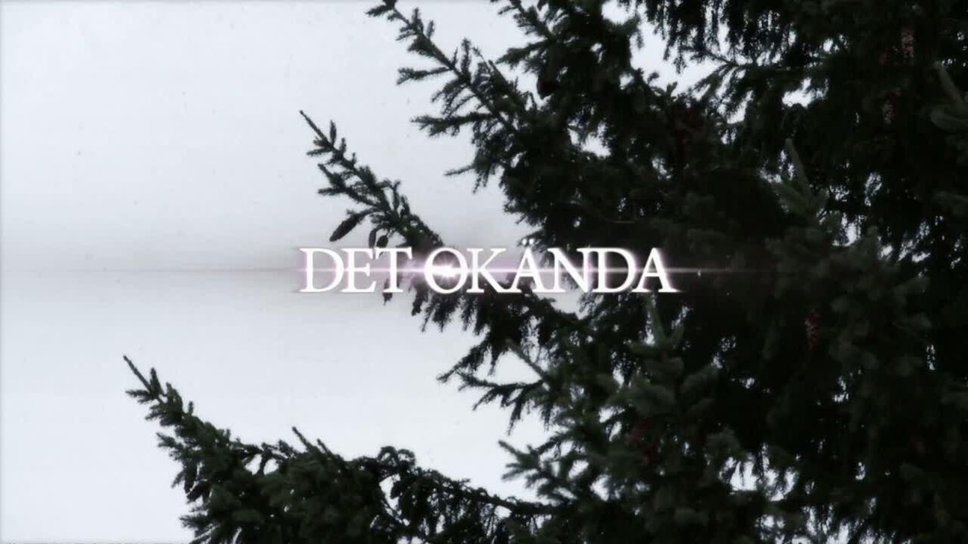 Det okända