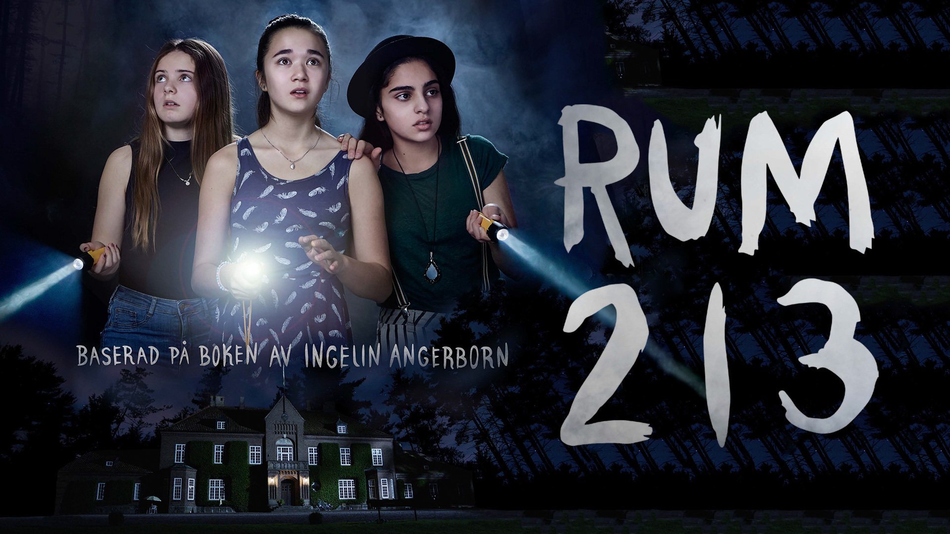 Rum 213