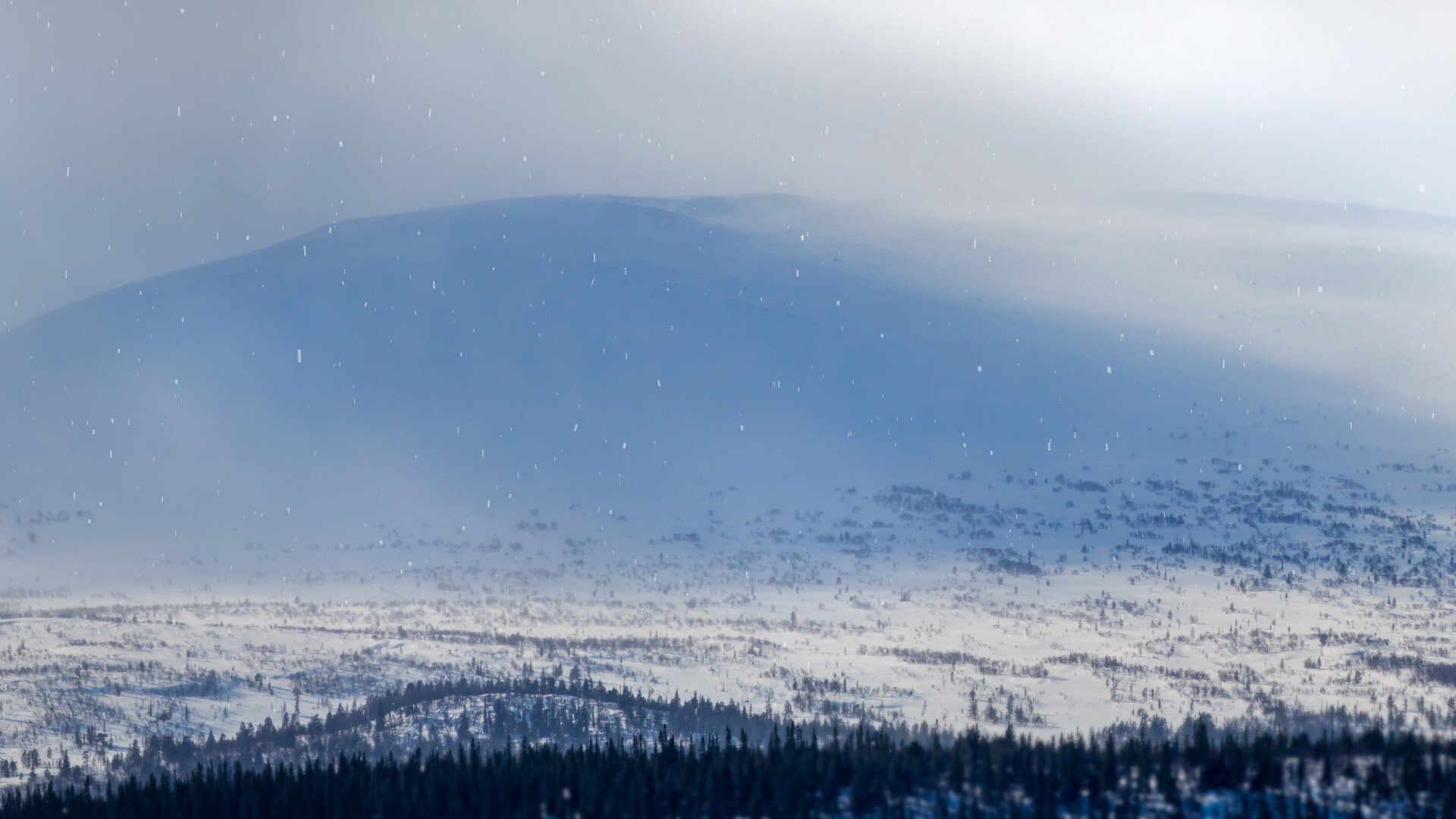 Folk och försvars rikskonferens