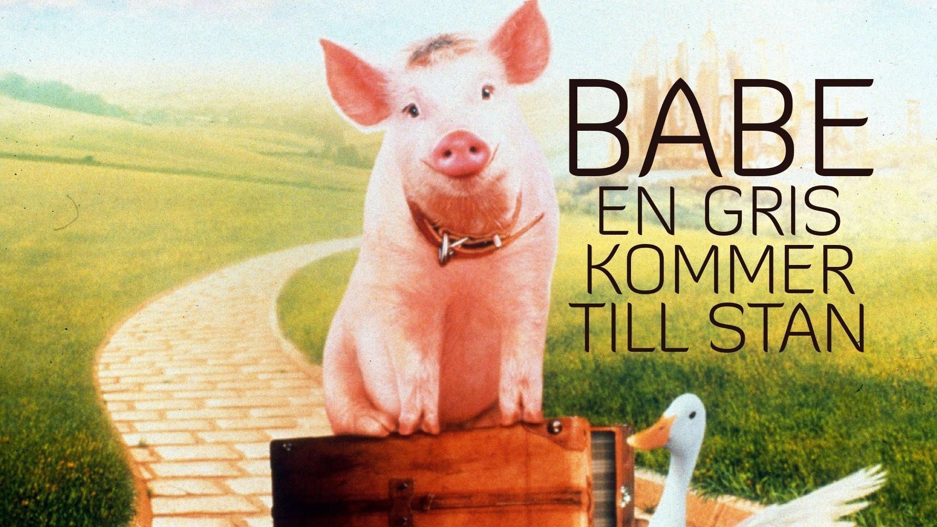Babe - En gris kommer till stan
