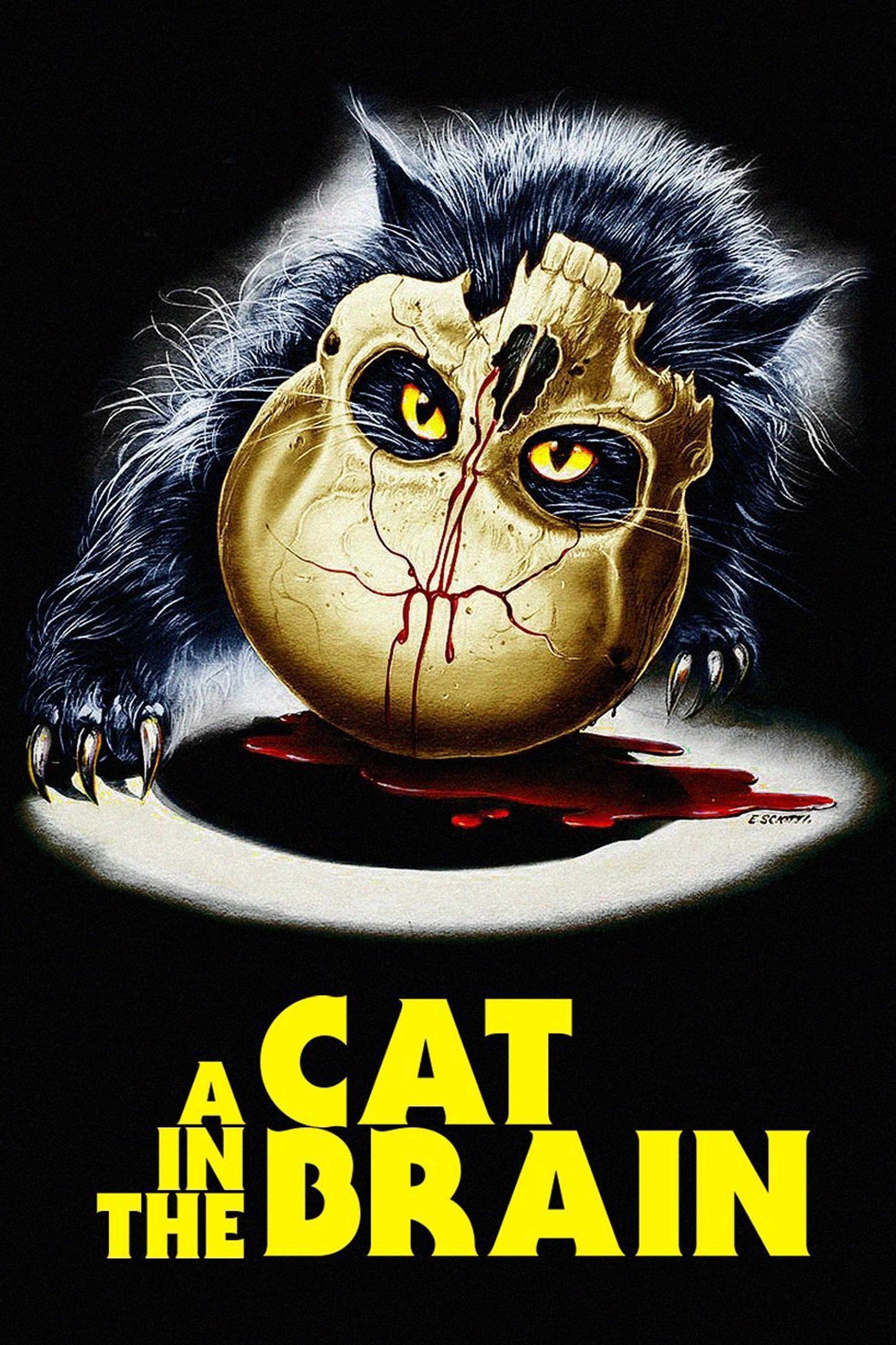 A Cat In The Brain