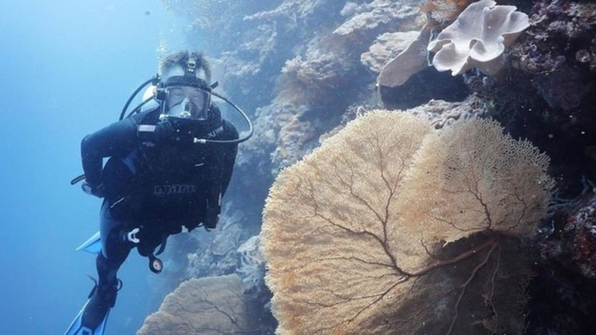 1. Förtrollade öar