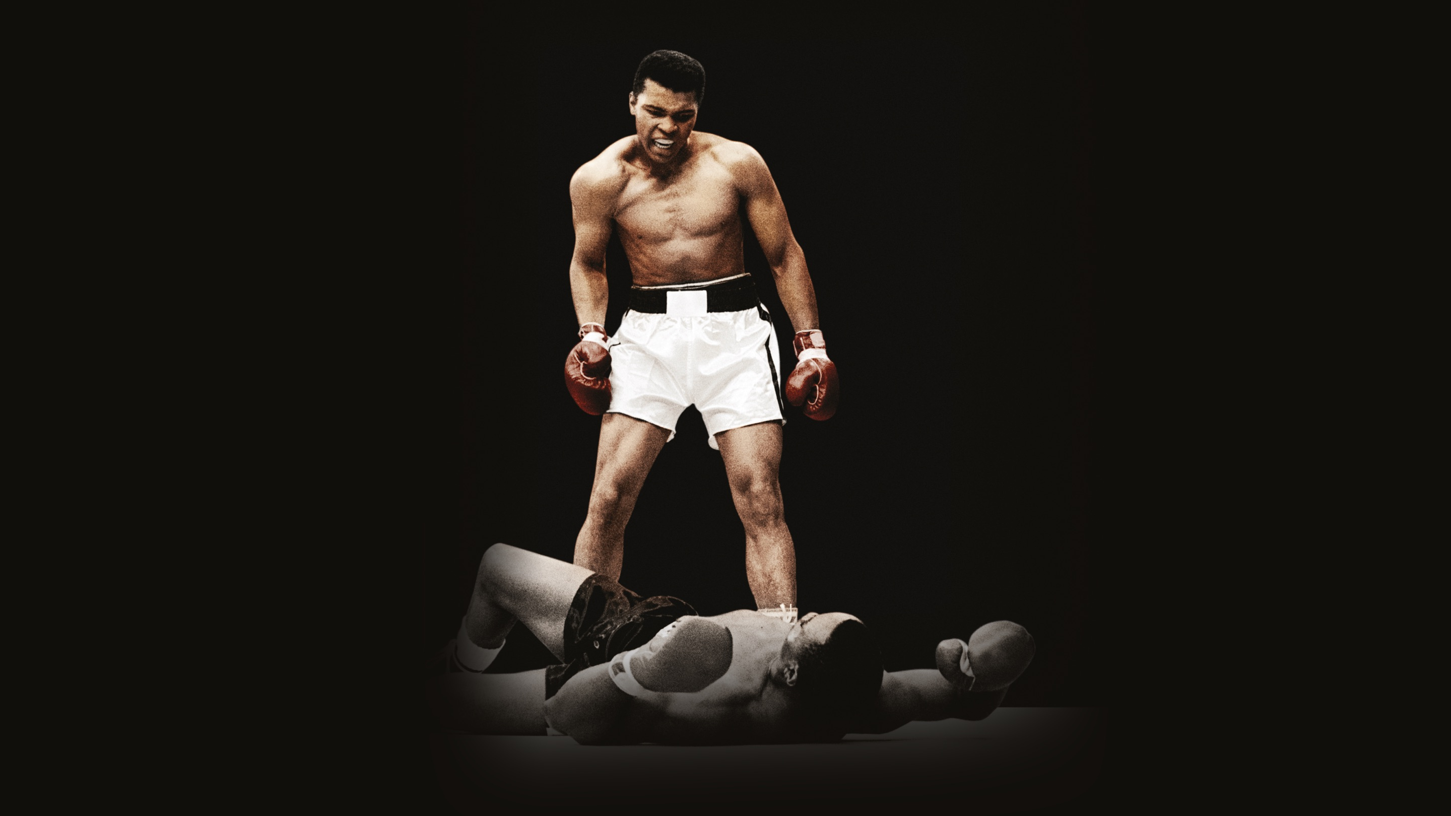 Facing Ali