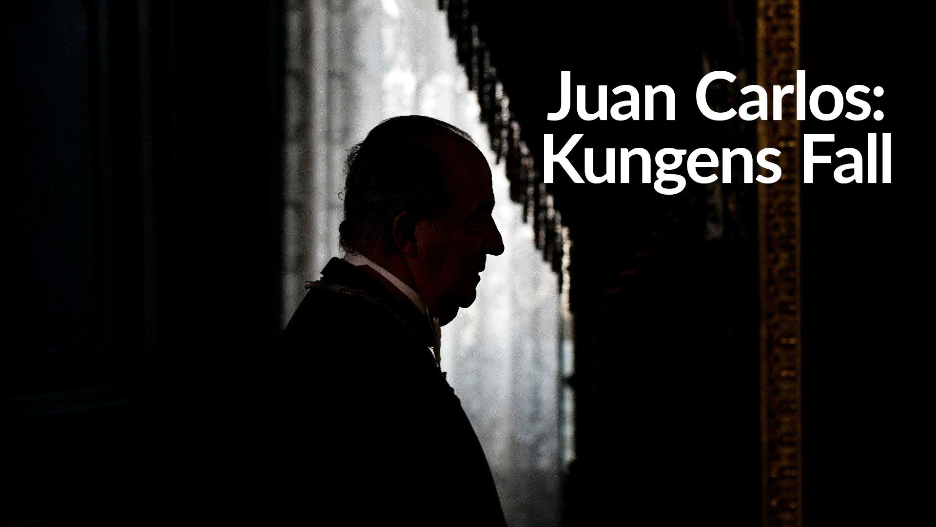 Juan Carlos: Kungens fall