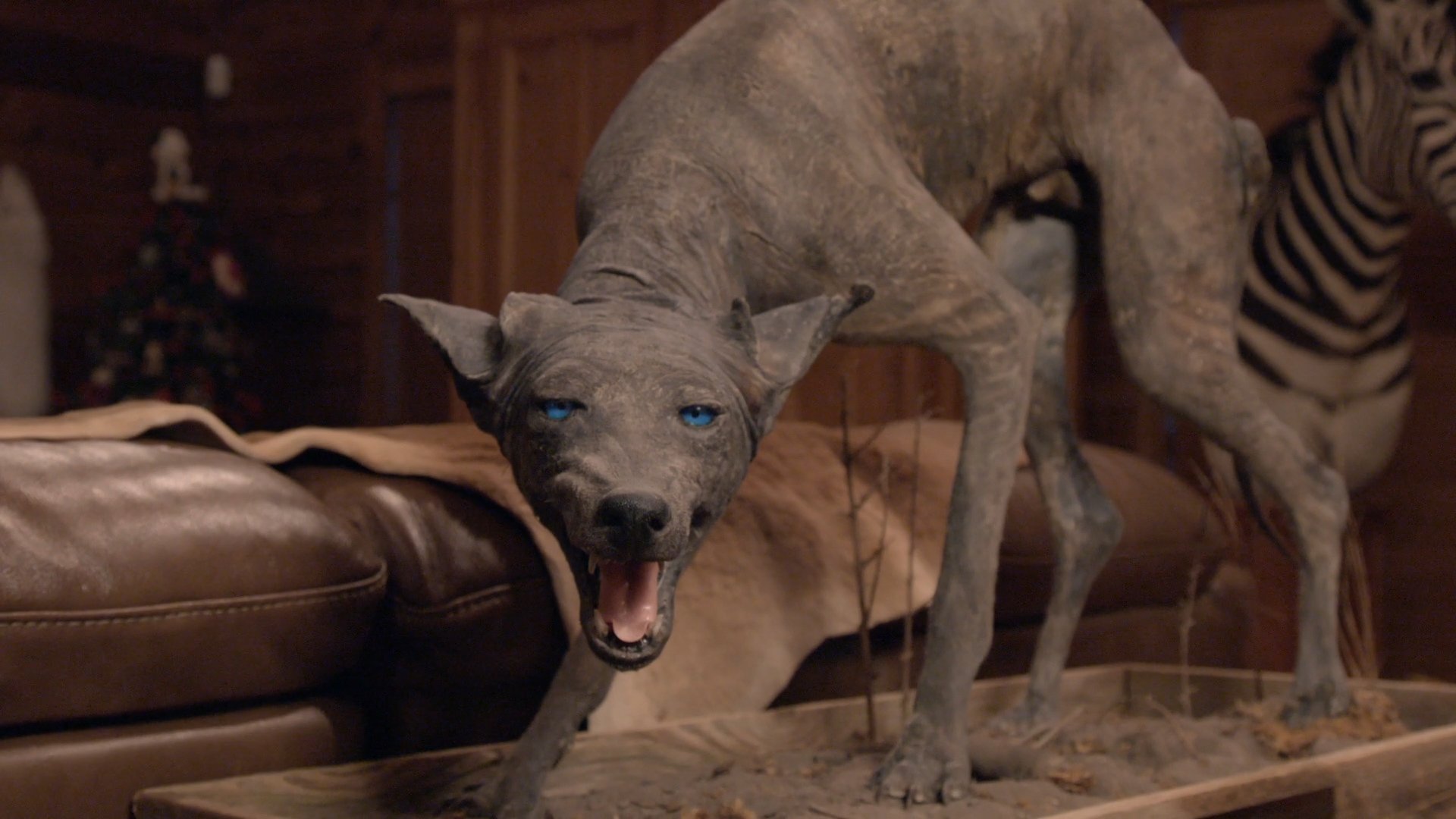 3. Strange Creatures