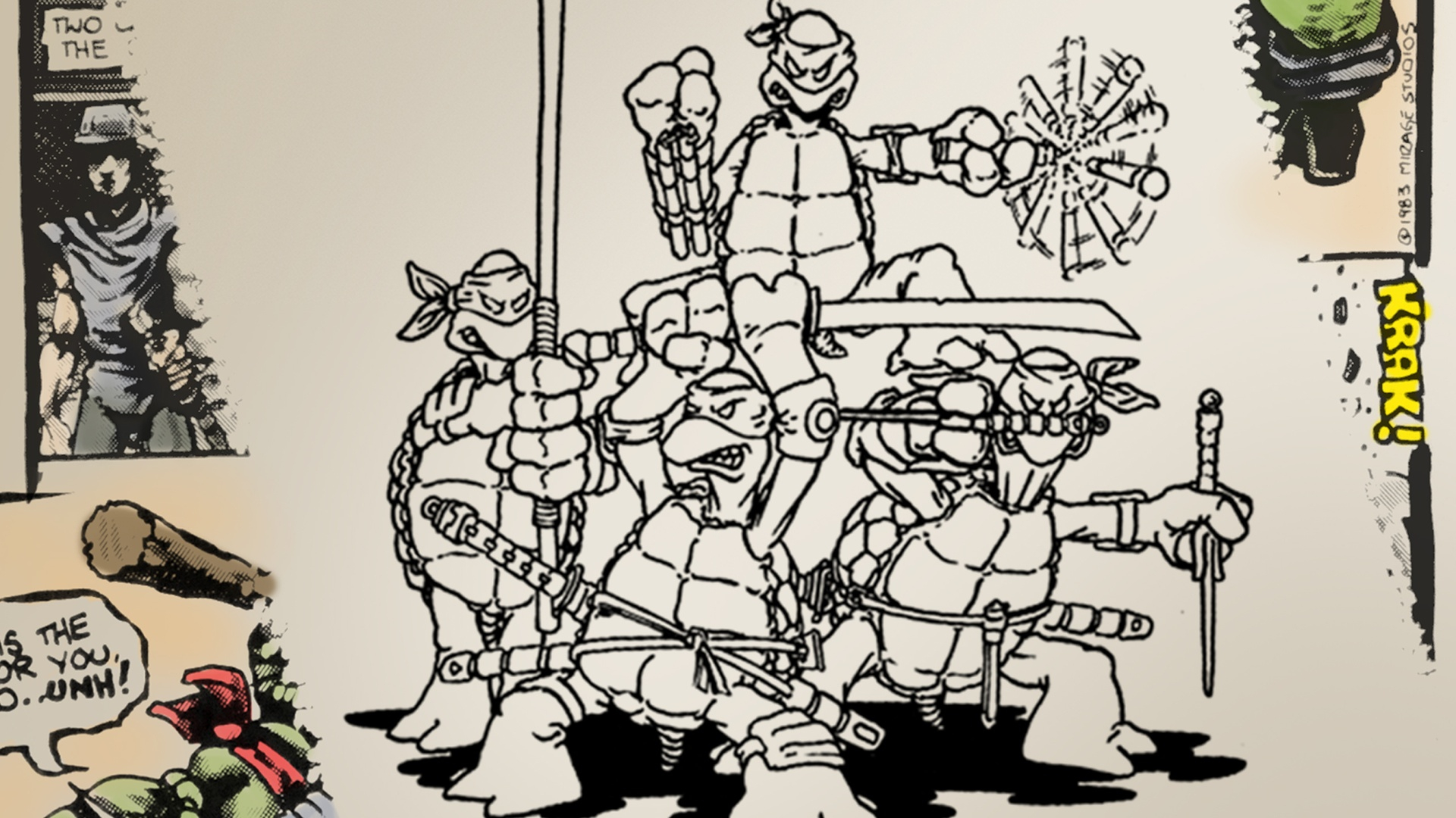 Turtle Power: The Definitive History of the Teenage Mutant Ninja Turtles