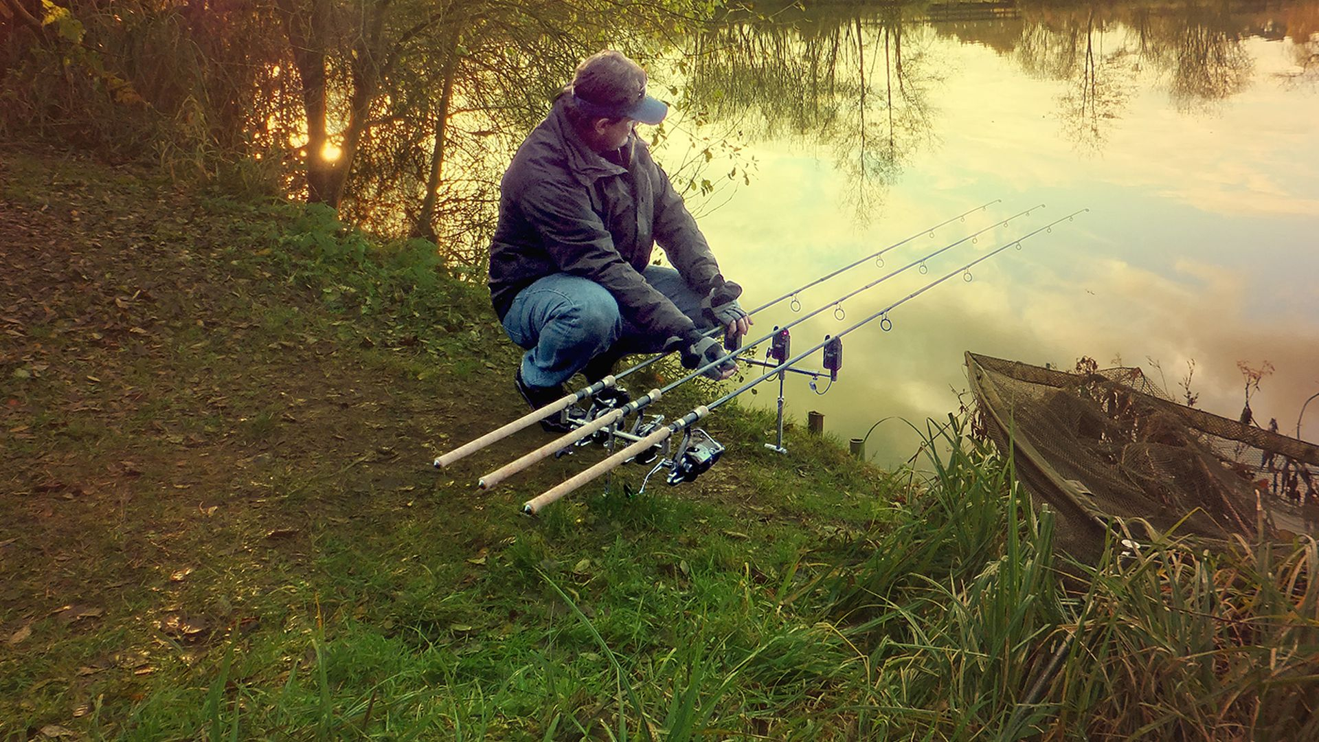King Fishers