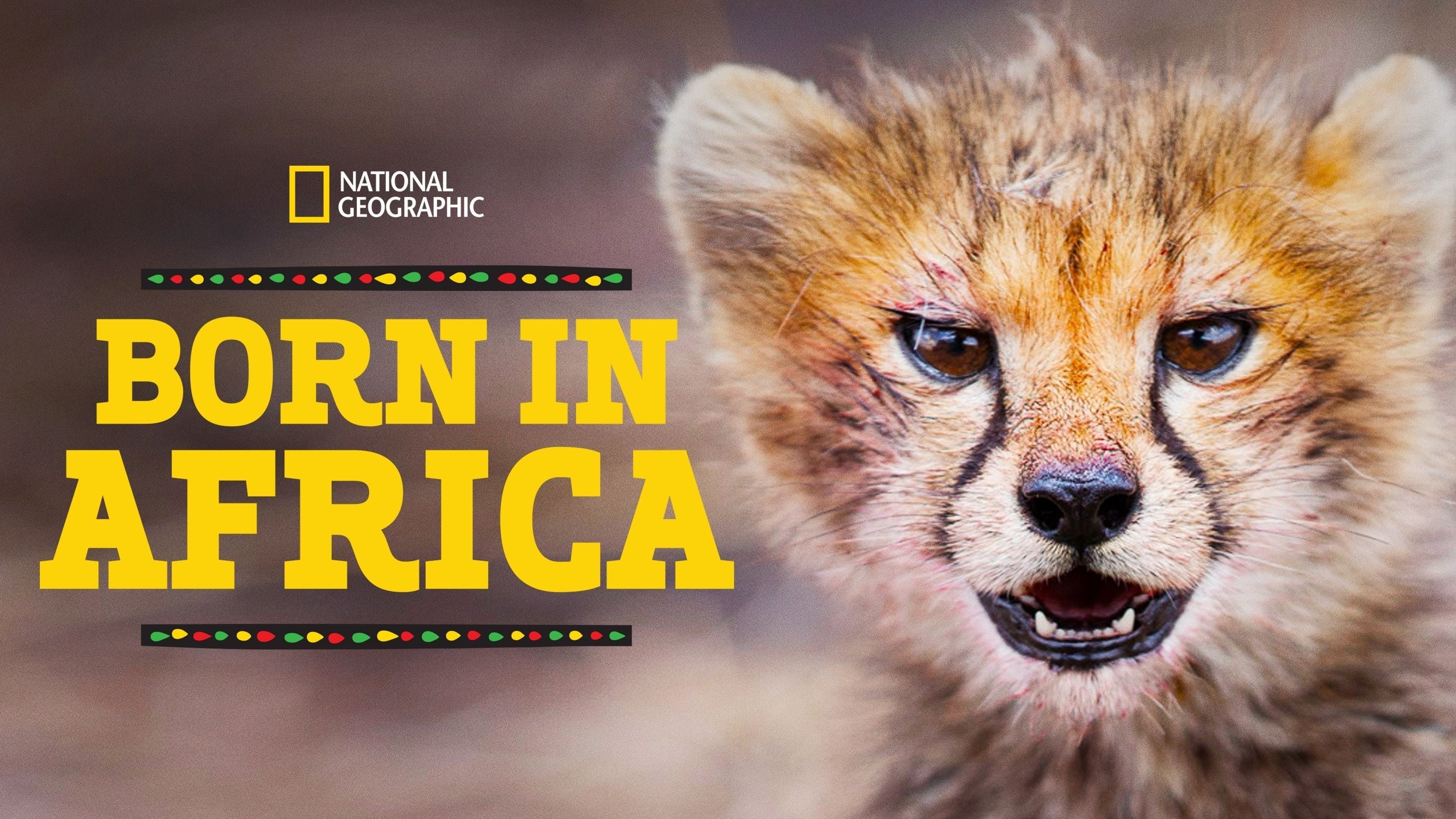 Born in Africa
