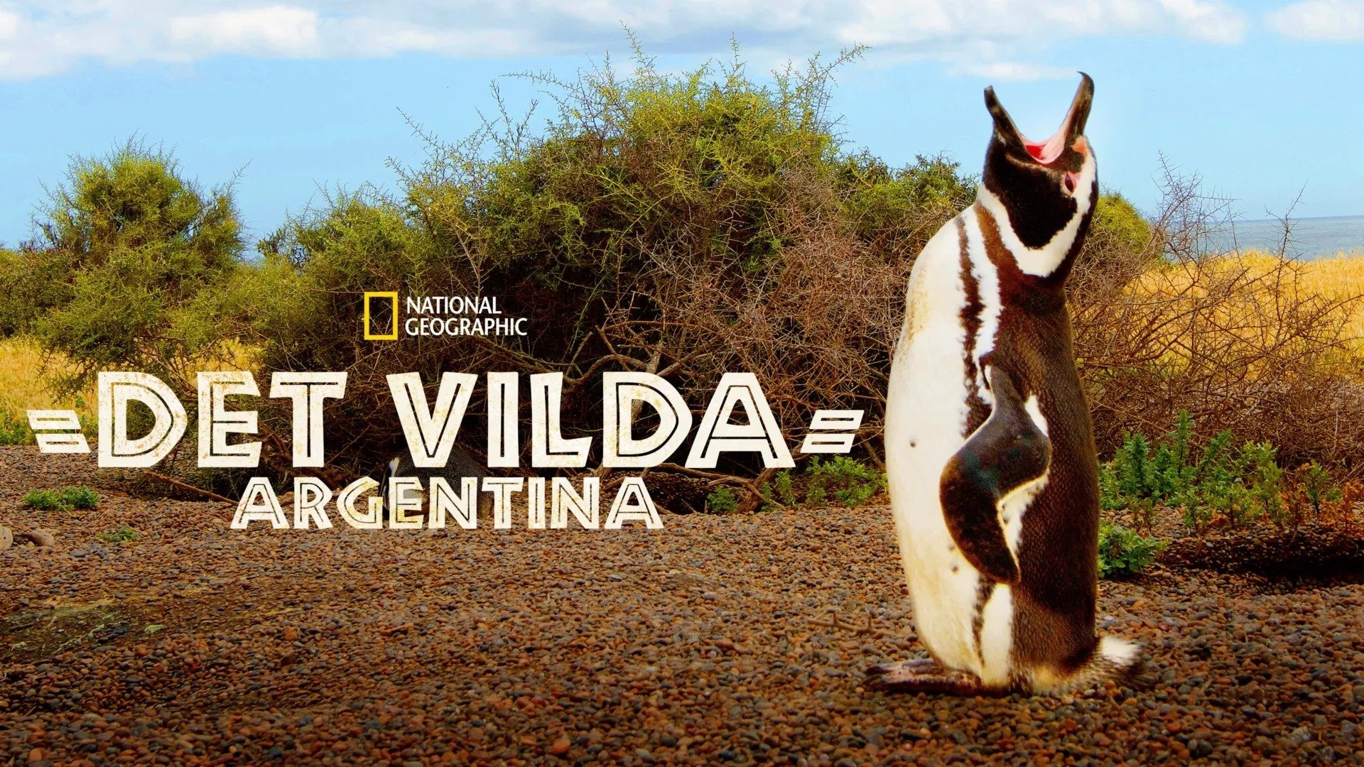 Det vilda Argentina
