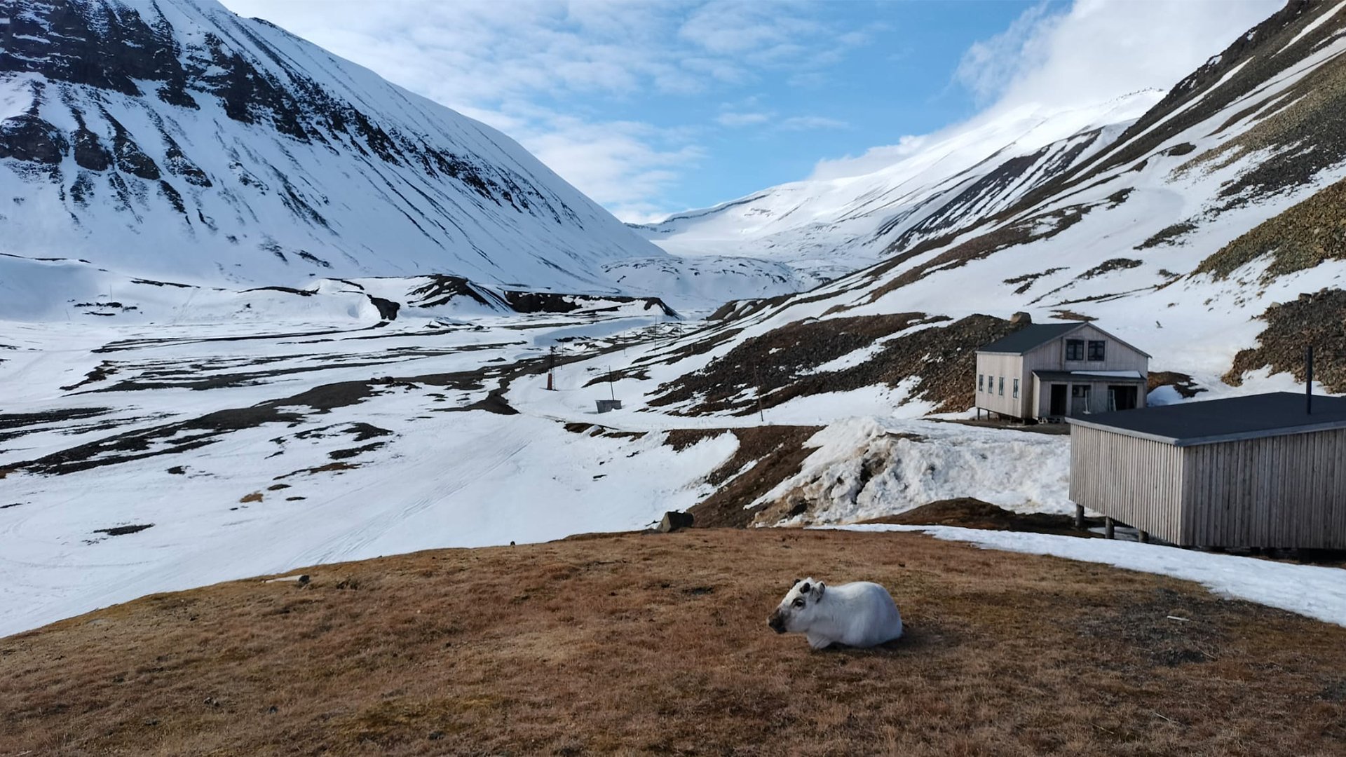 Dokument utifrån: Makten över Svalbard