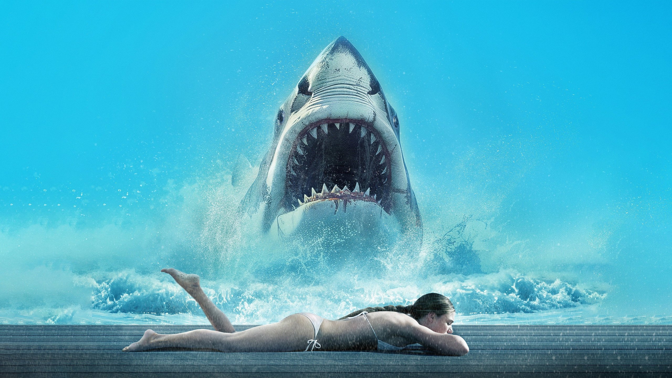 Shark Warning