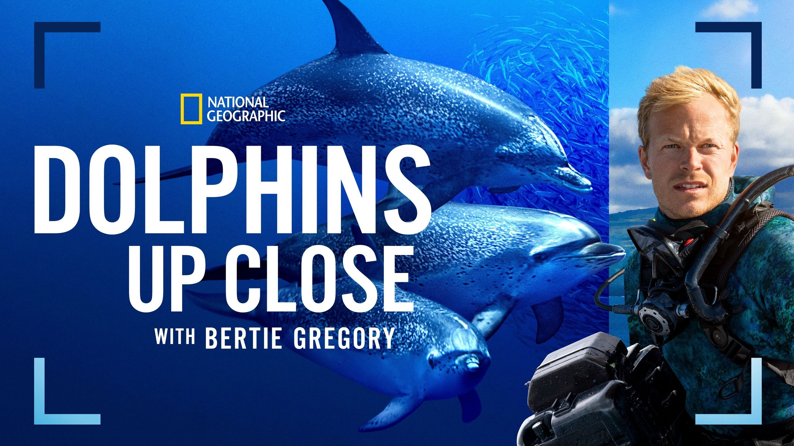 Dolphins Up Close with Bertie Gregory