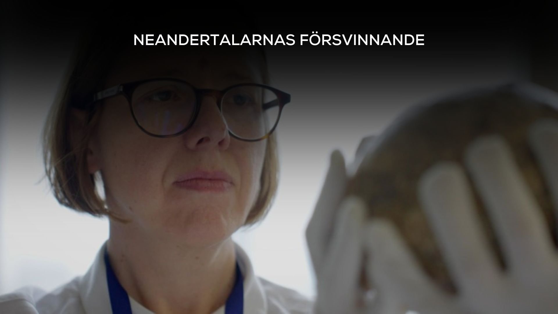 Neandertalarnas försvinnande