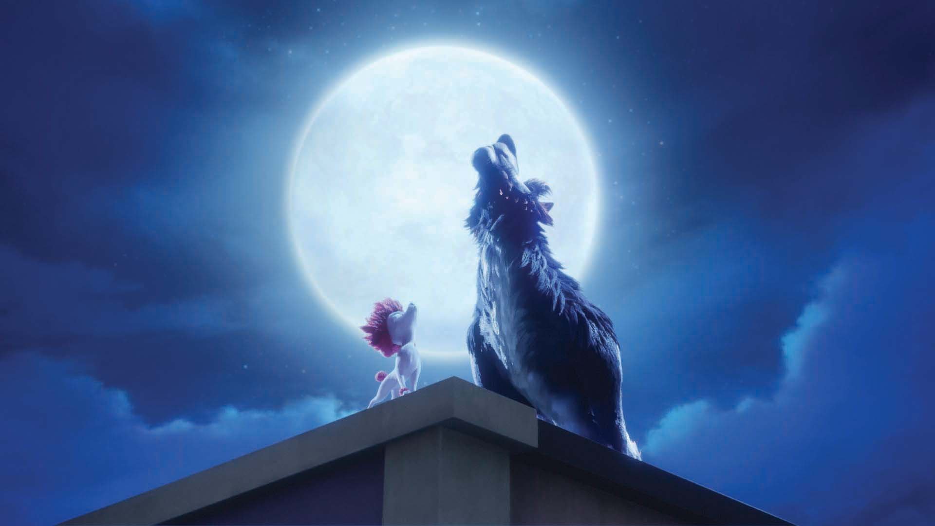 100% Wolf