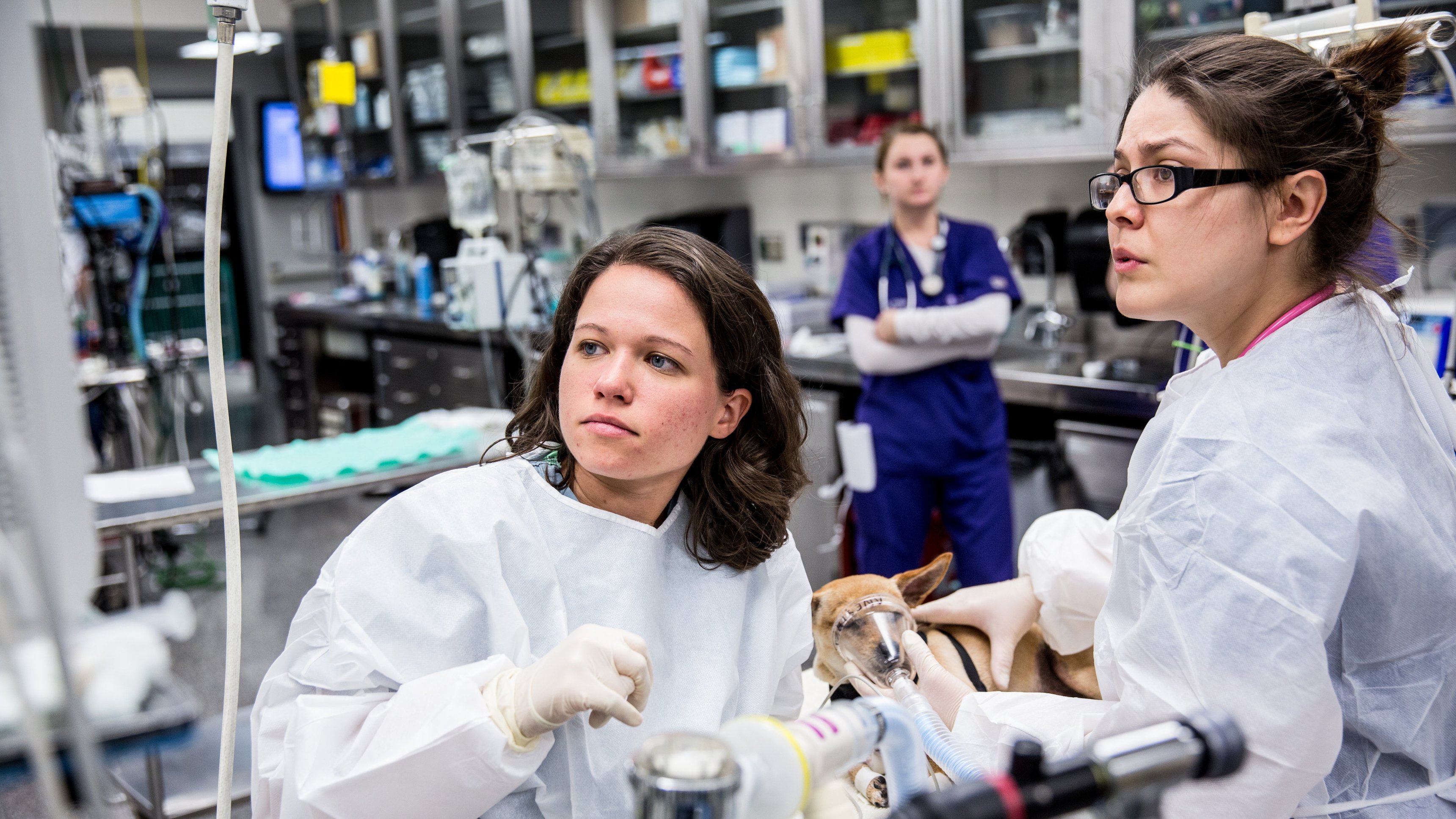 1. No Sleep 'til Graduation