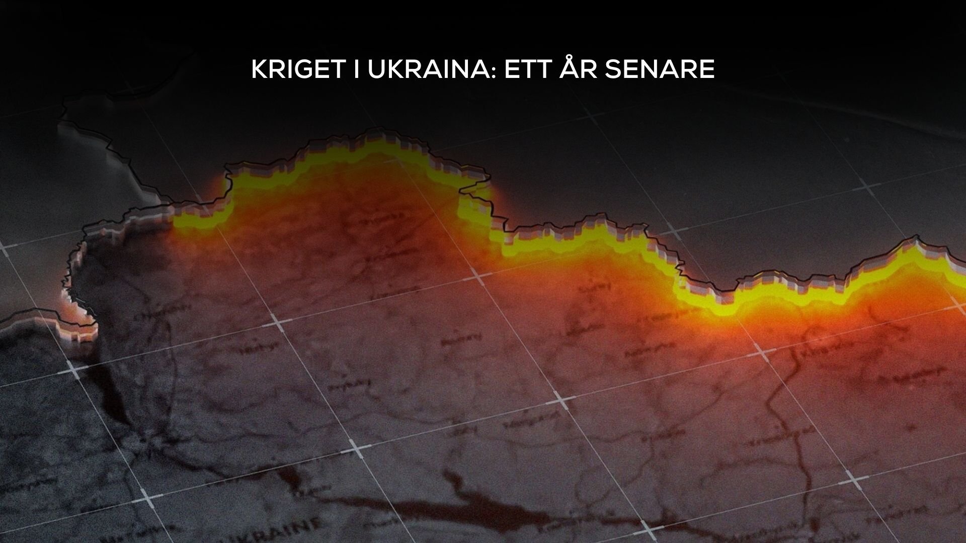 Kriget i Ukraina: Ett år senare